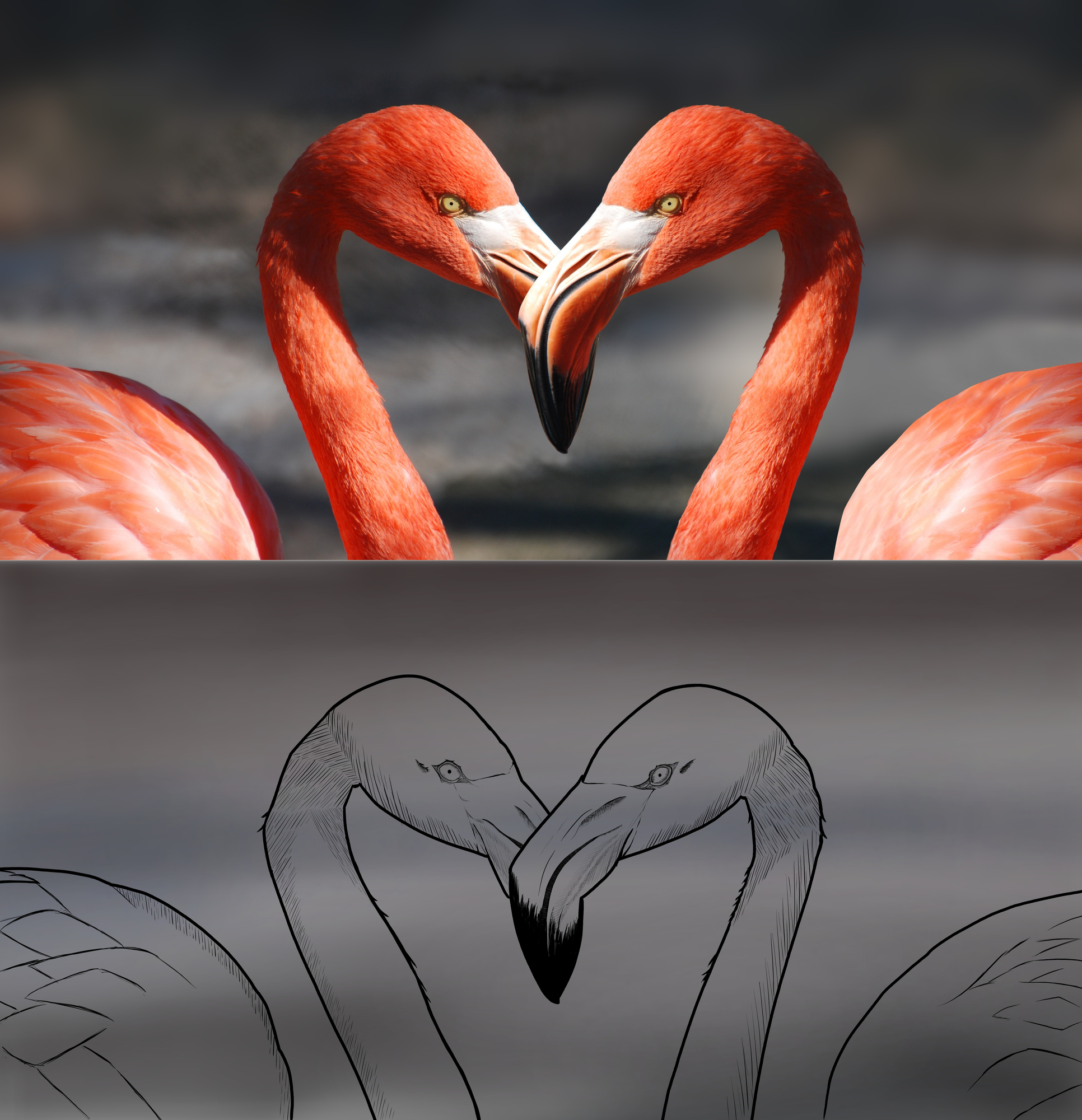 02 - Flamants coeur_004.jpg