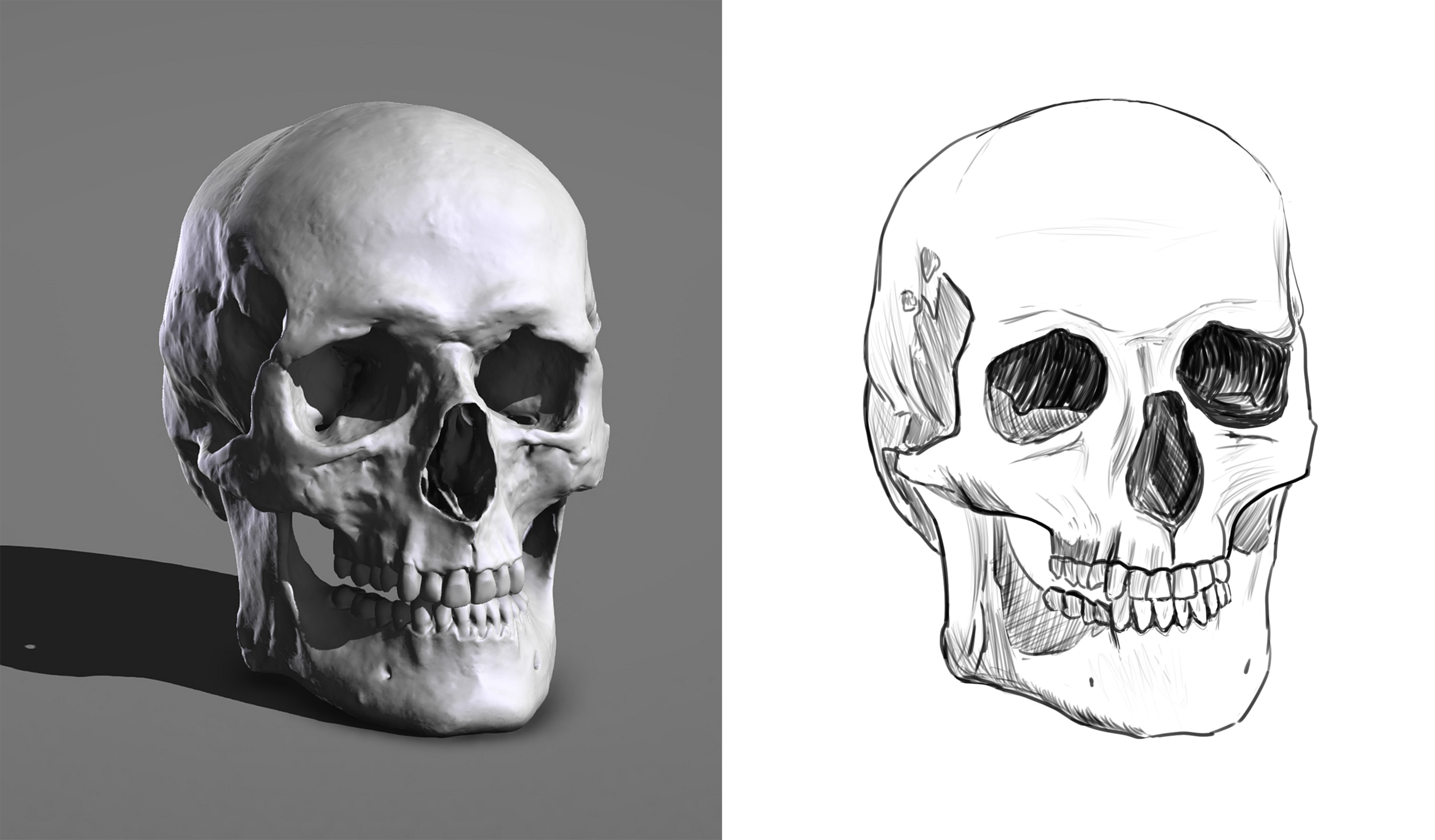 mon skull correction.png