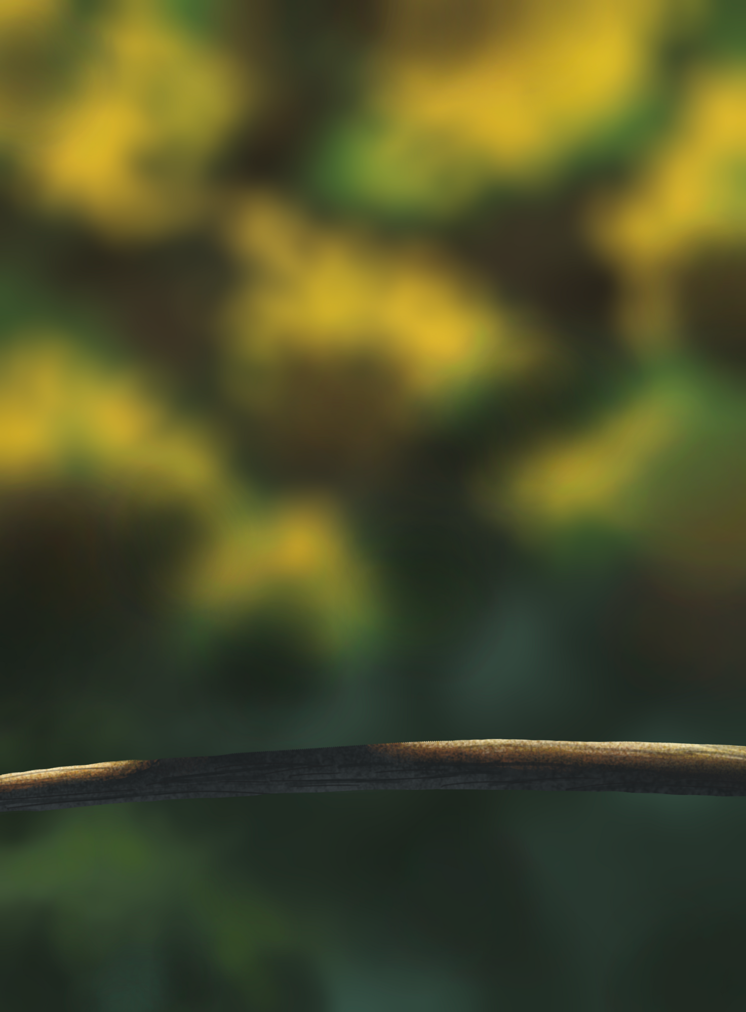 Chapitre 1 - Exercice 5.png