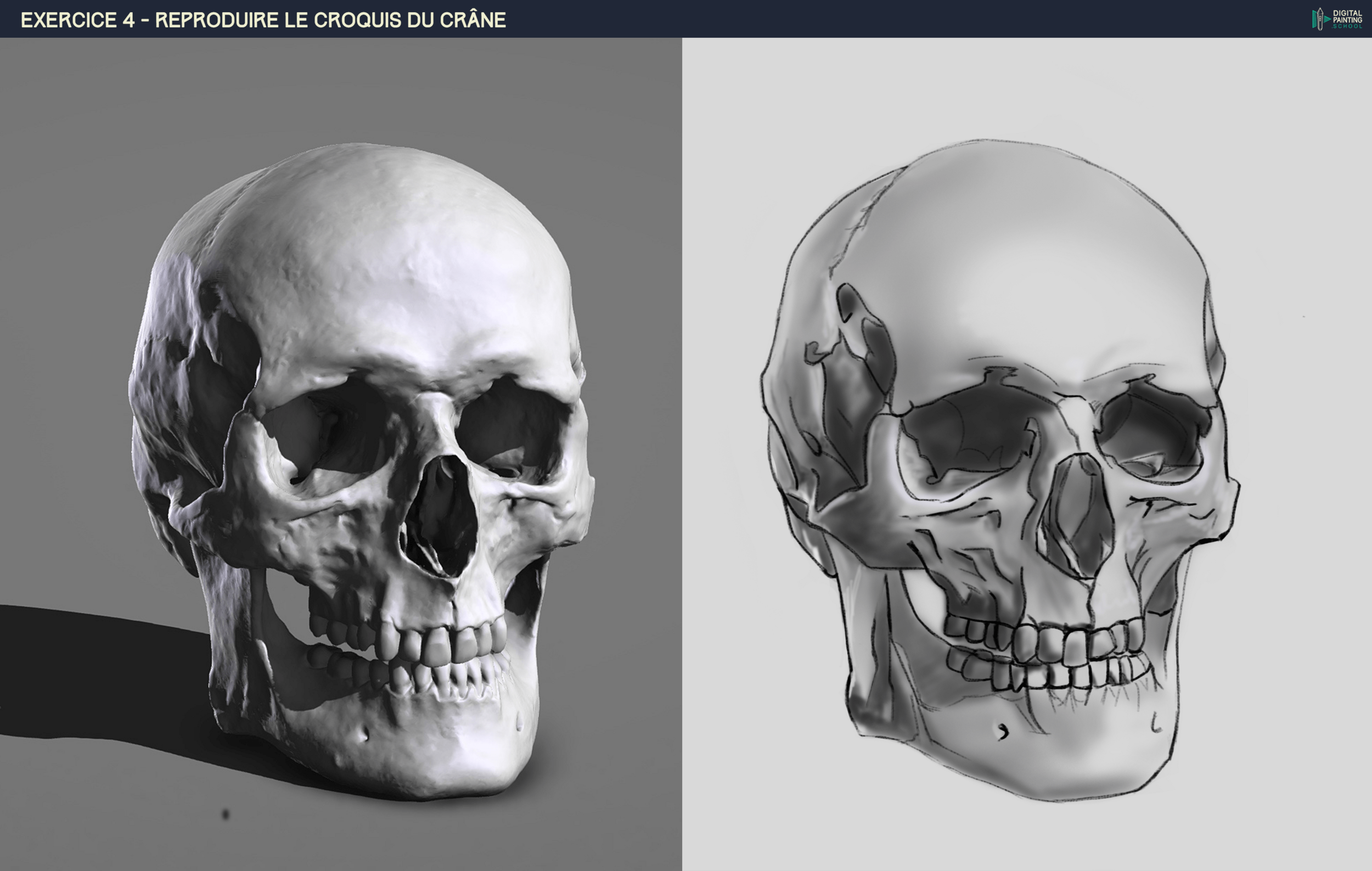 DPS-Prog-1-2-2-démo-crane-croquis-min (1).png