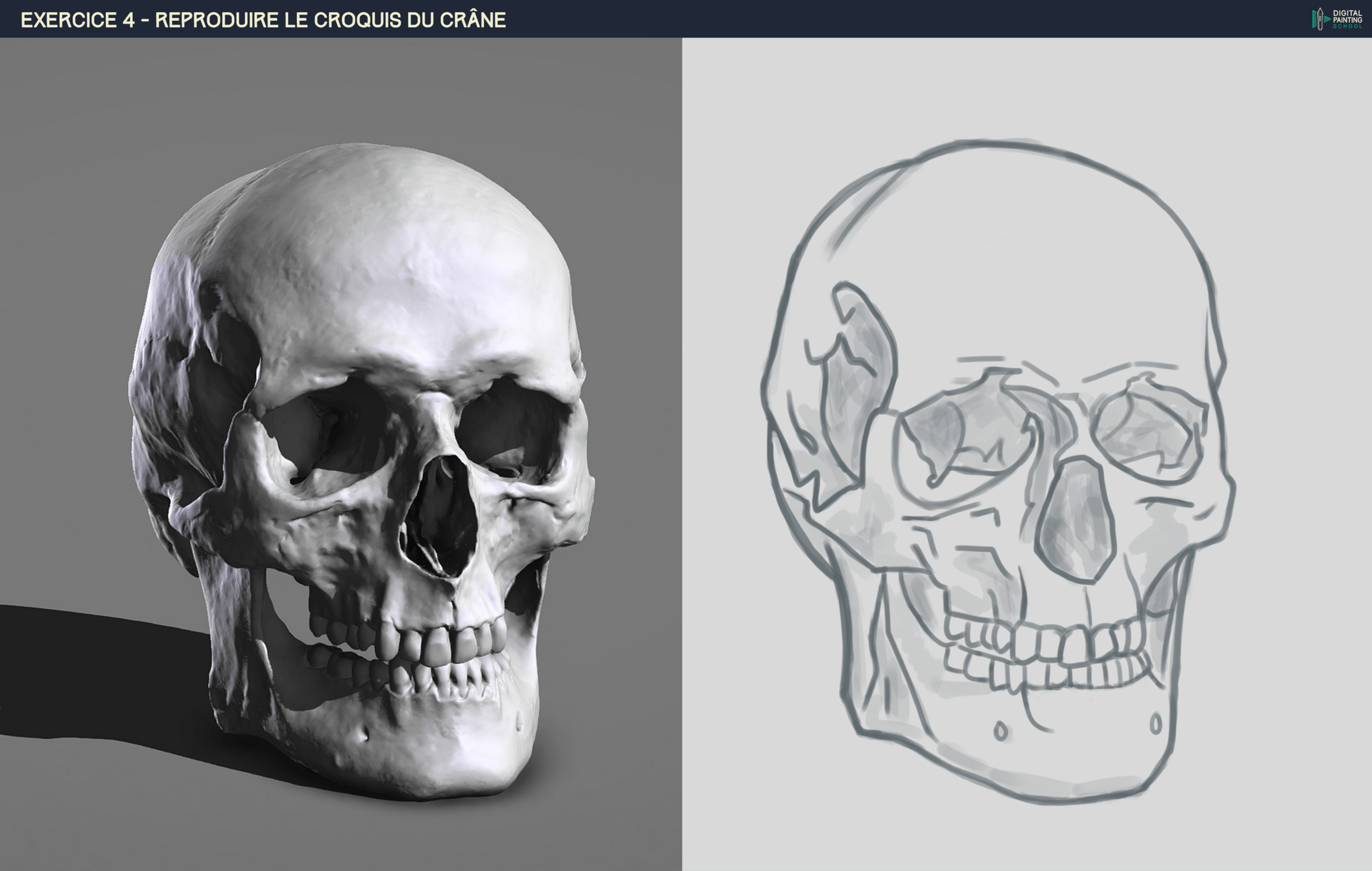 DPS-Prog-1-2-2-démo-crane-croquis-min (2).png