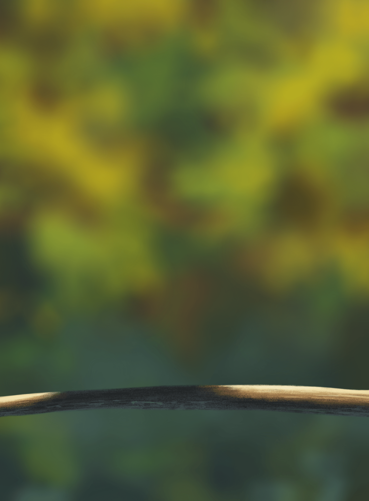 DPS Prog-1-1-Exercice5-Oiseau-Commencement-min.png