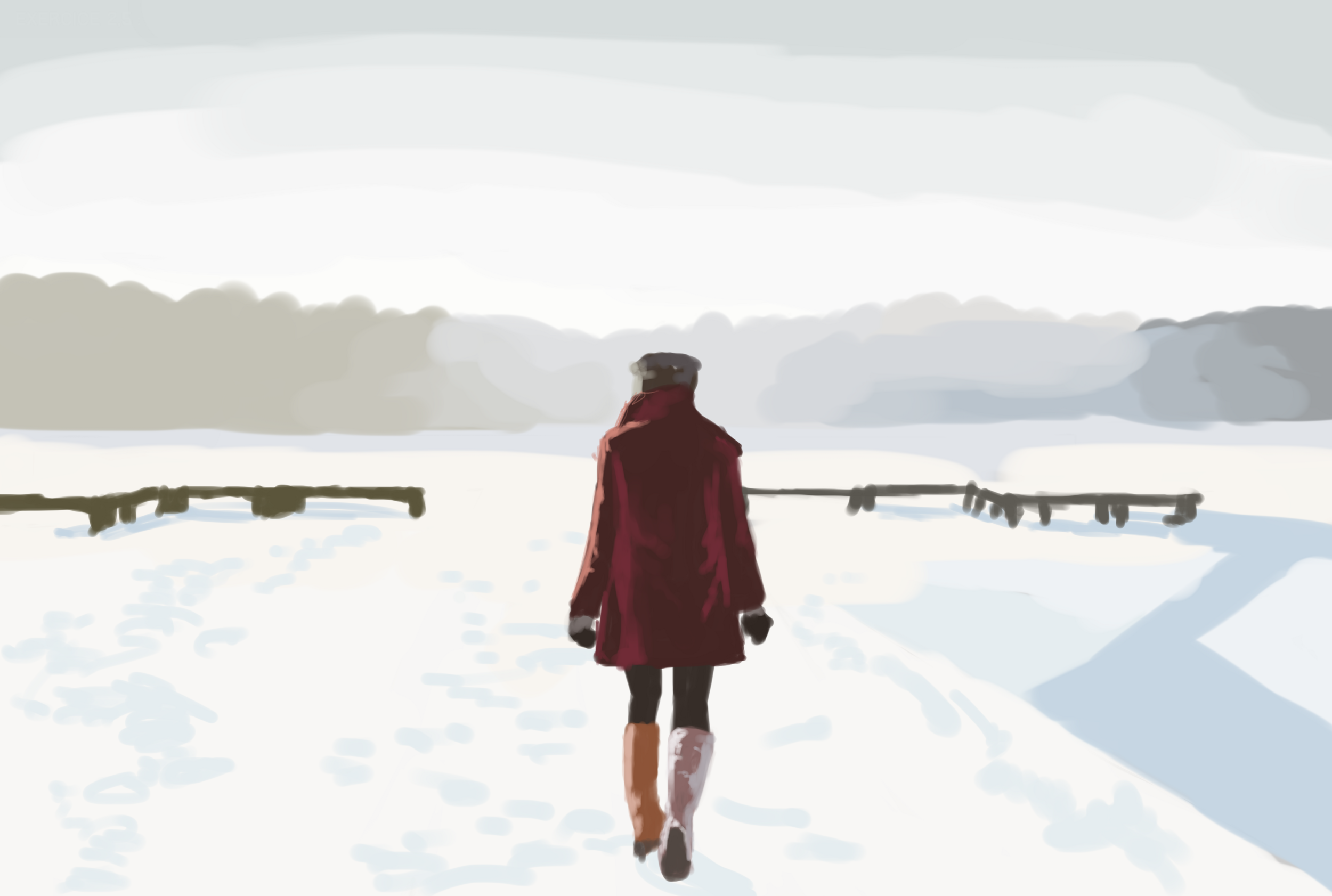 Exercice 2.5 Chap 1.png