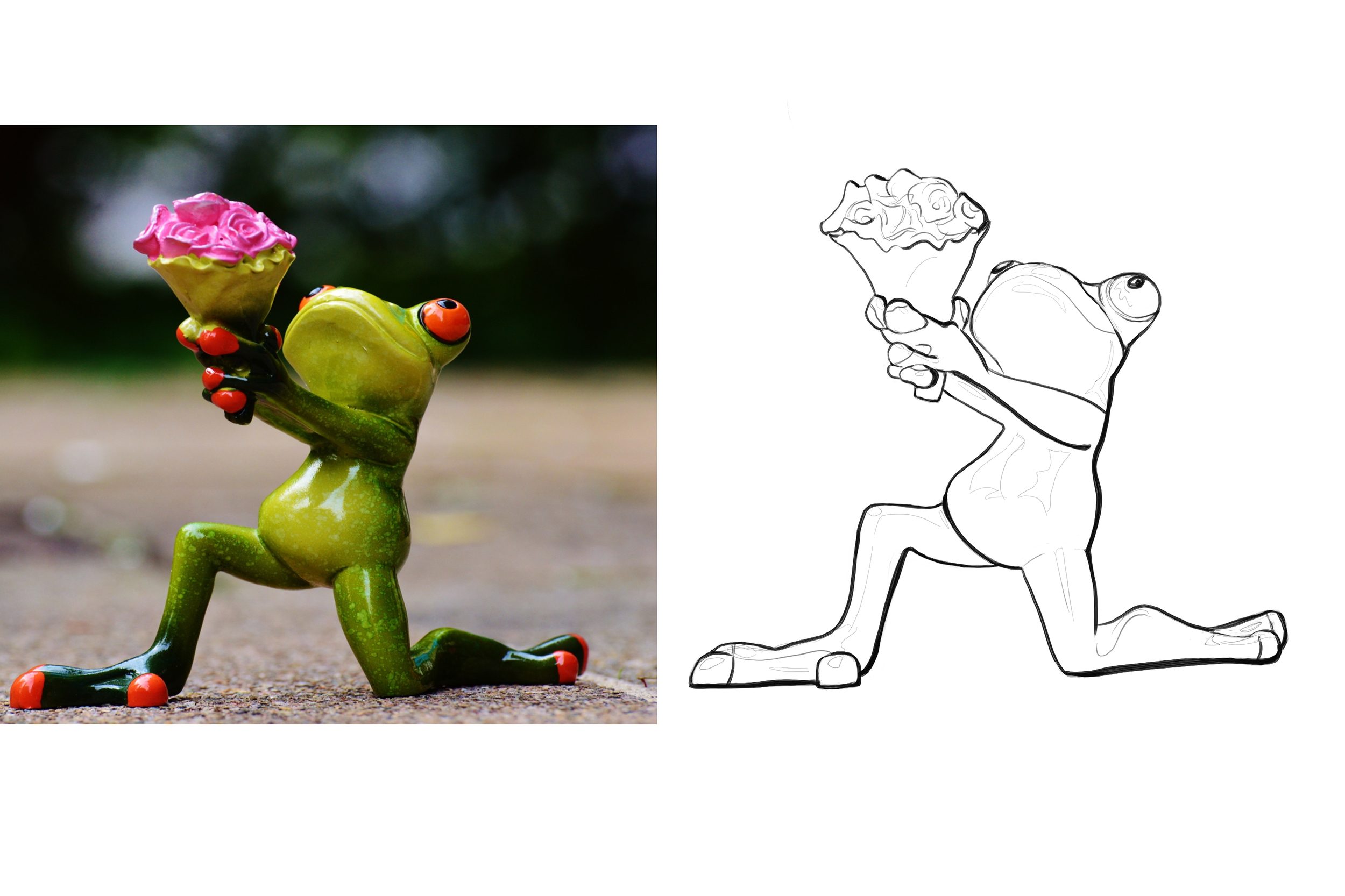 croquis grenouille.jpg