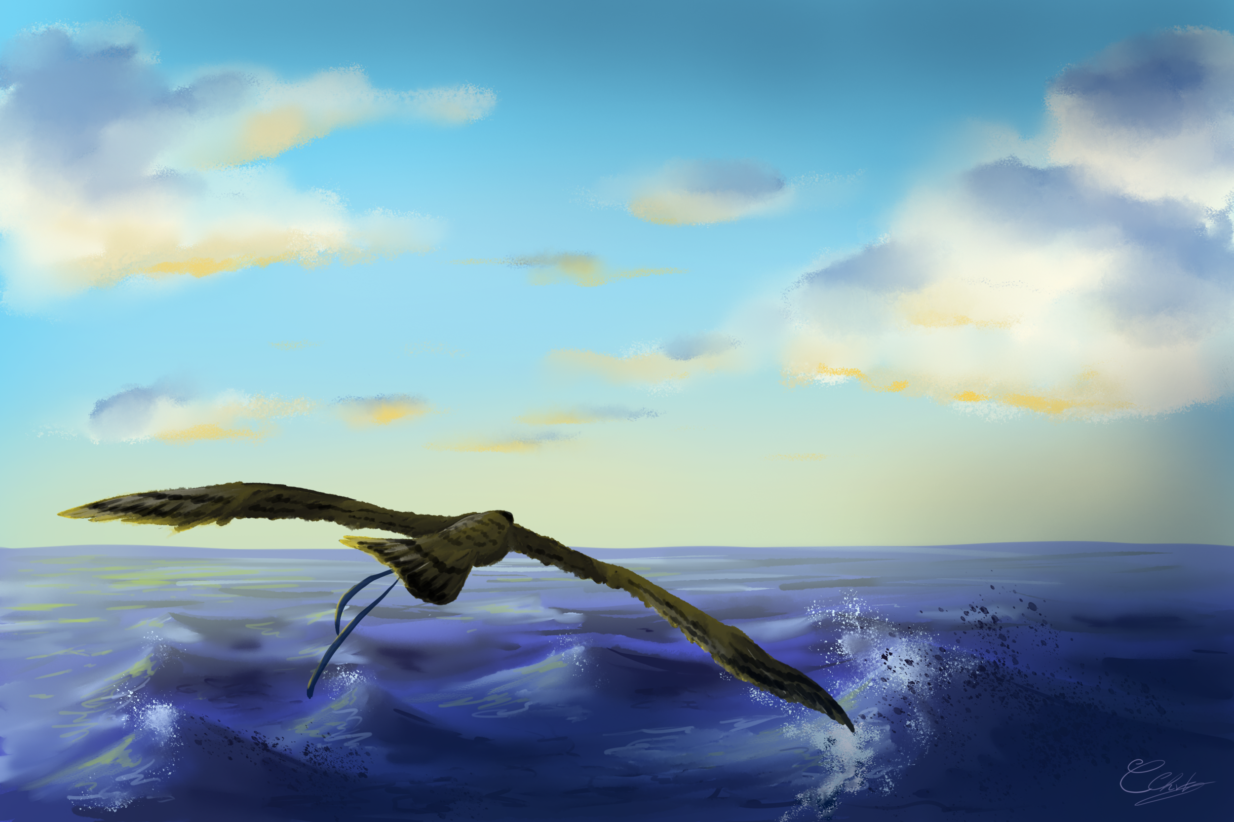 exercice chapitre 0.png