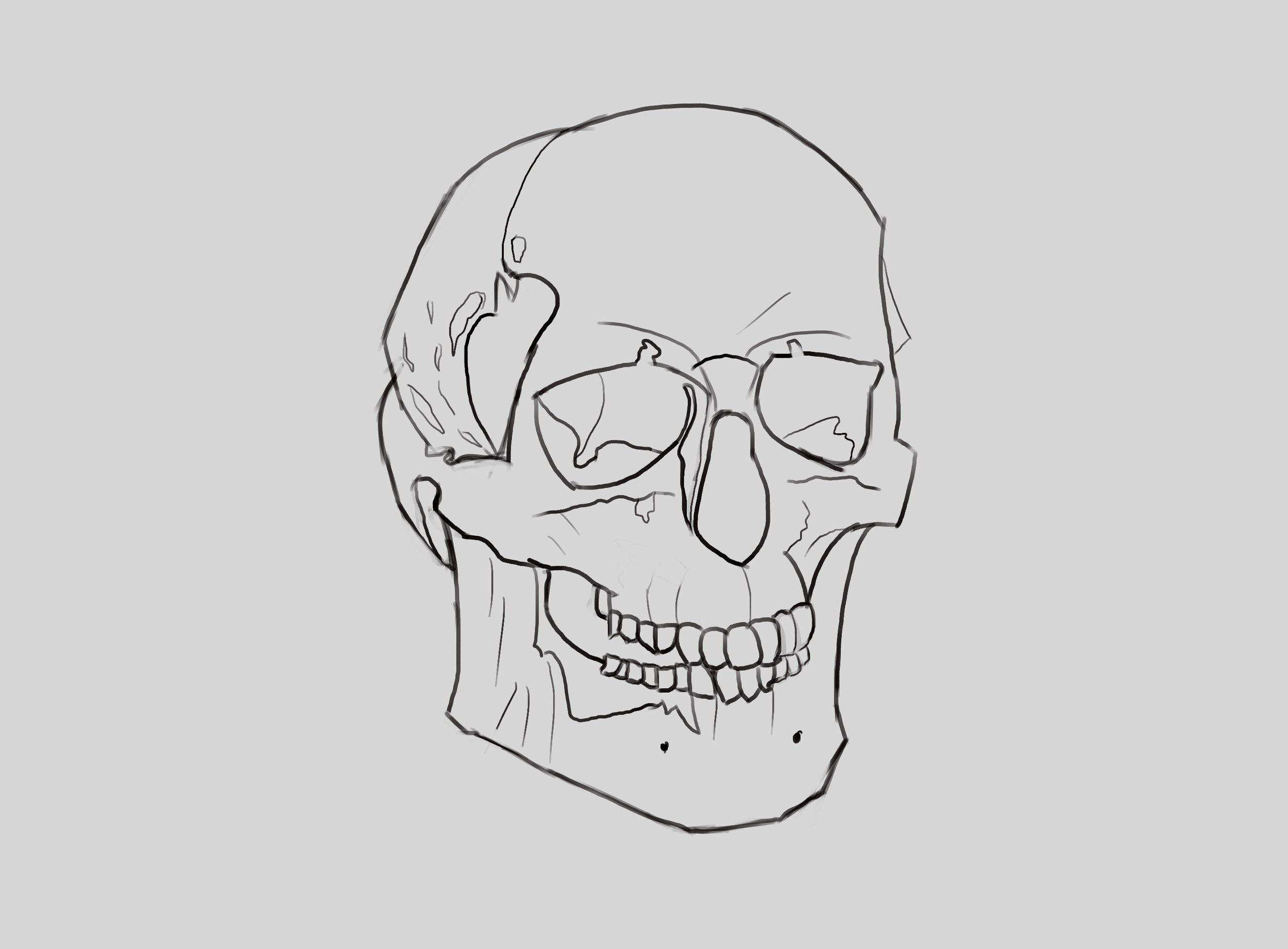 mon croquis crane.jpg