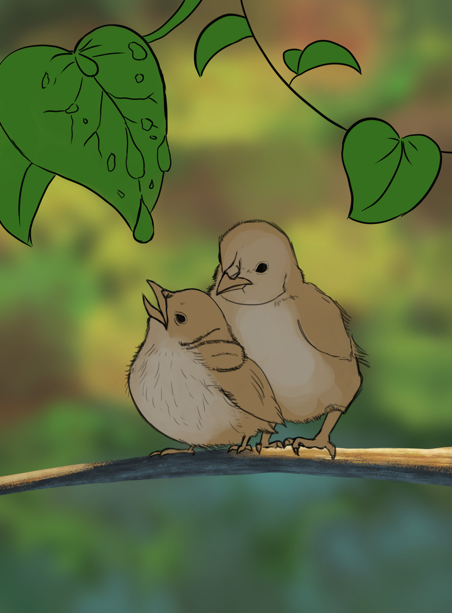 Illustration oisillons croquis.jpg