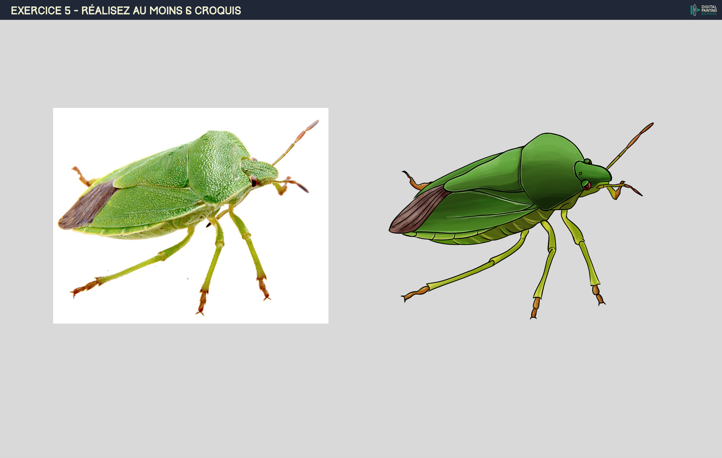 croquis 4 Punaise.jpg