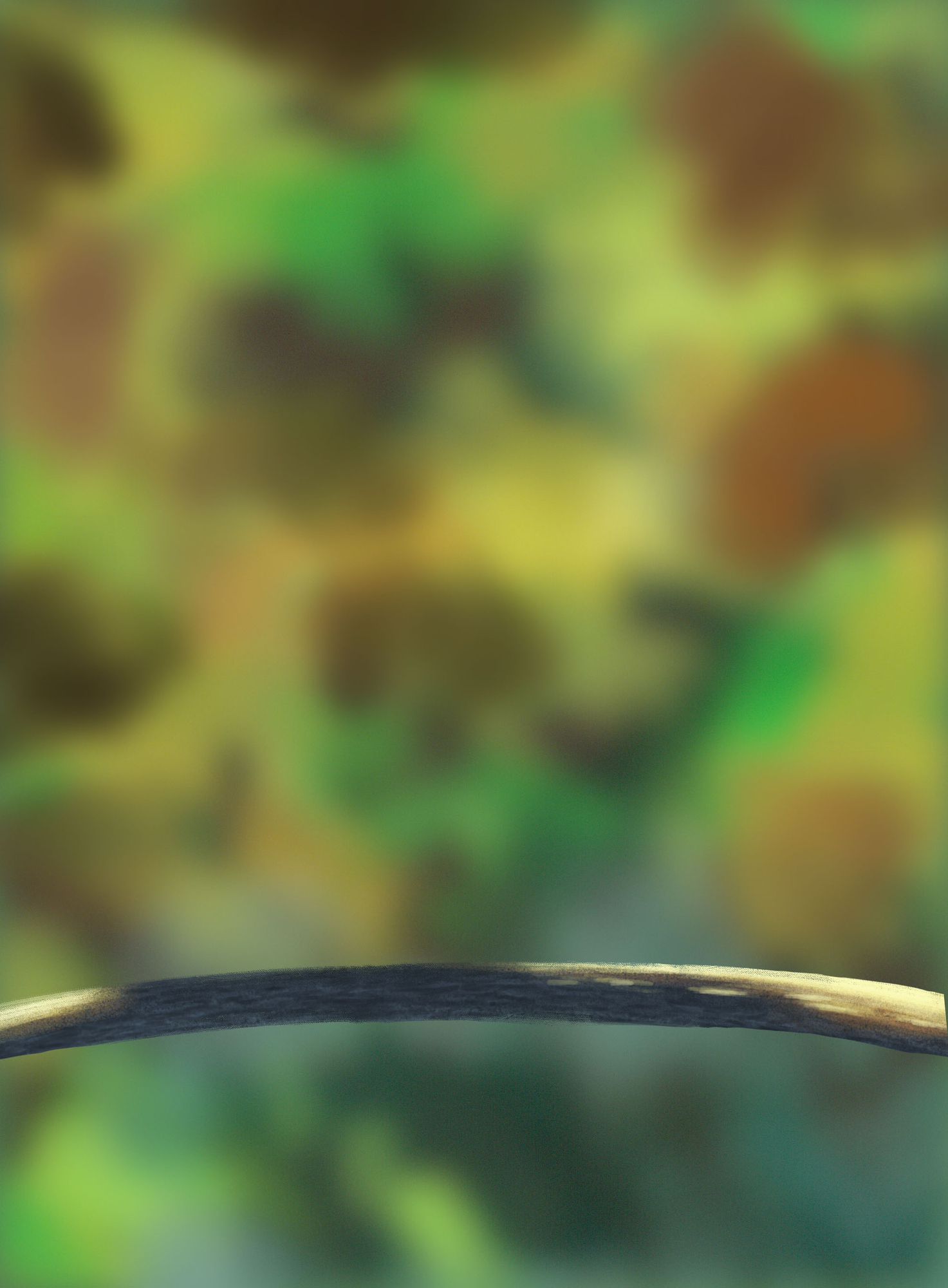 DPS Prog-1-1-Exercice5-Oiseau-Commencement.jpg