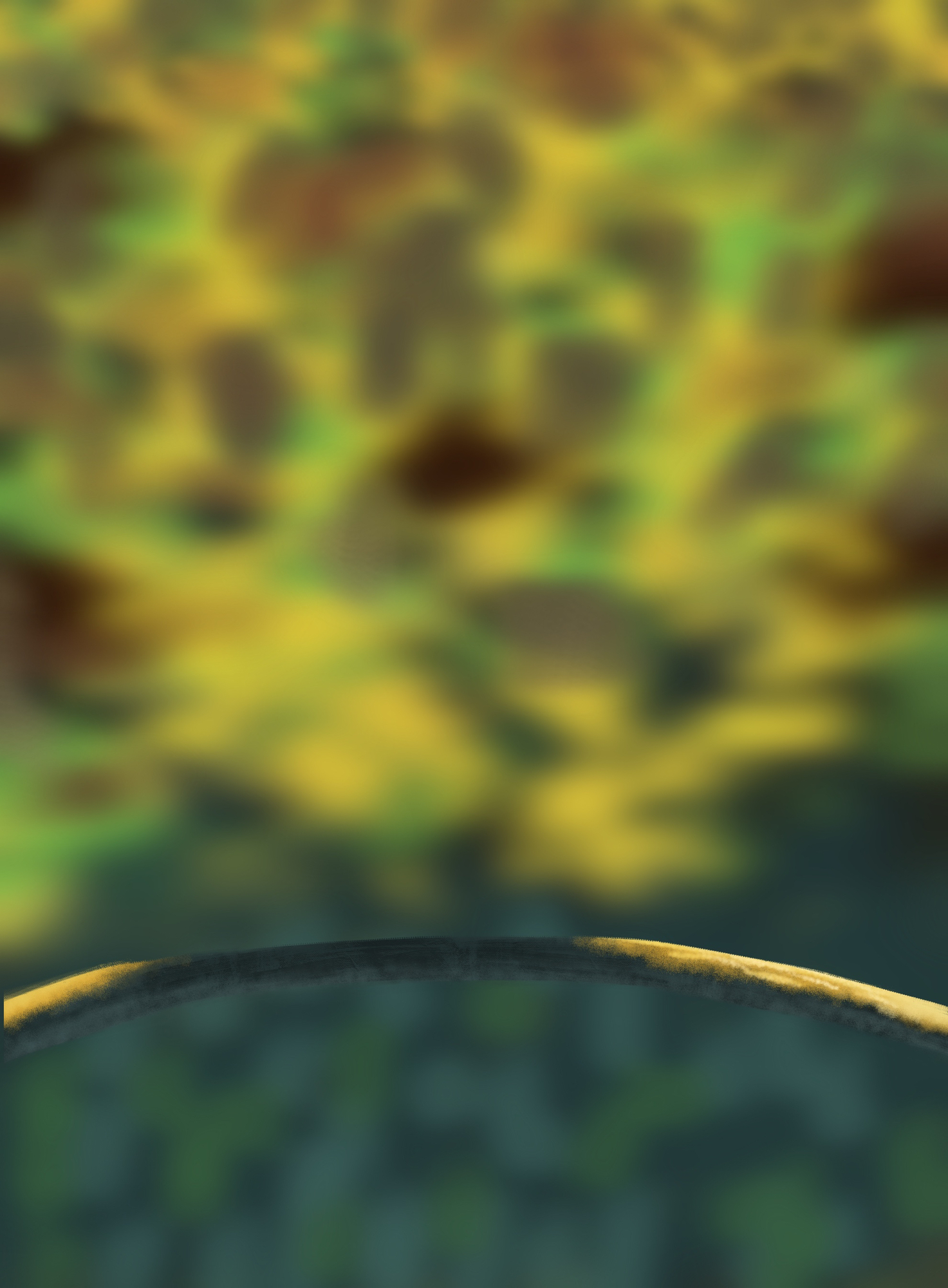 DPS Prog-1-1-Exercice5-Oiseau-Etape1.jpg