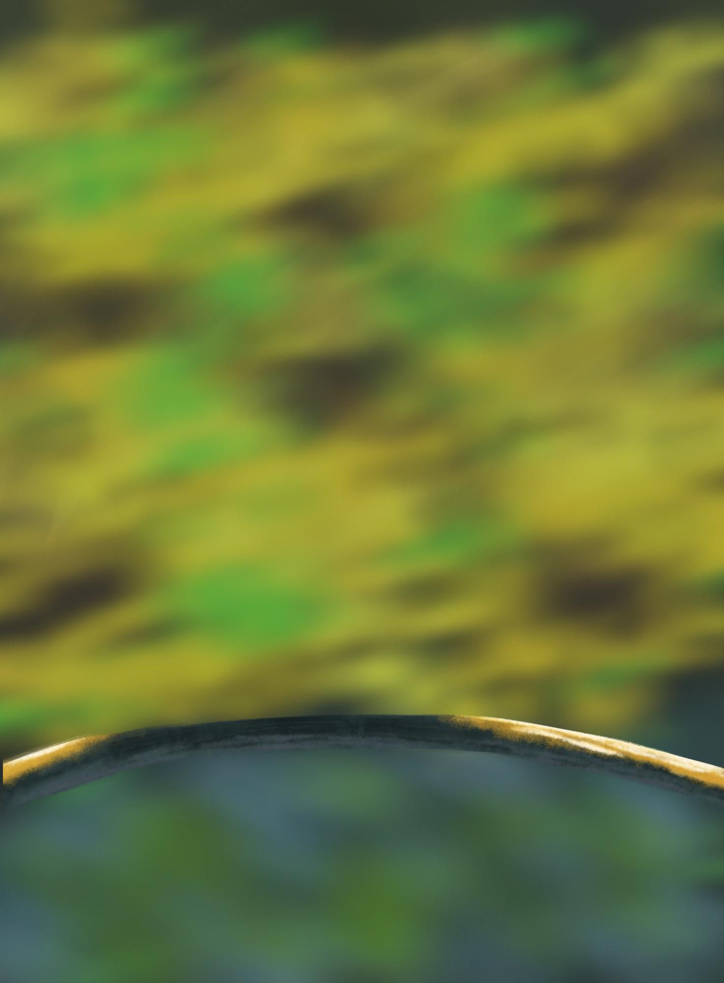 DPS Prog-1-1-Exercice5-Oiseau-Etape1 v2.jpg