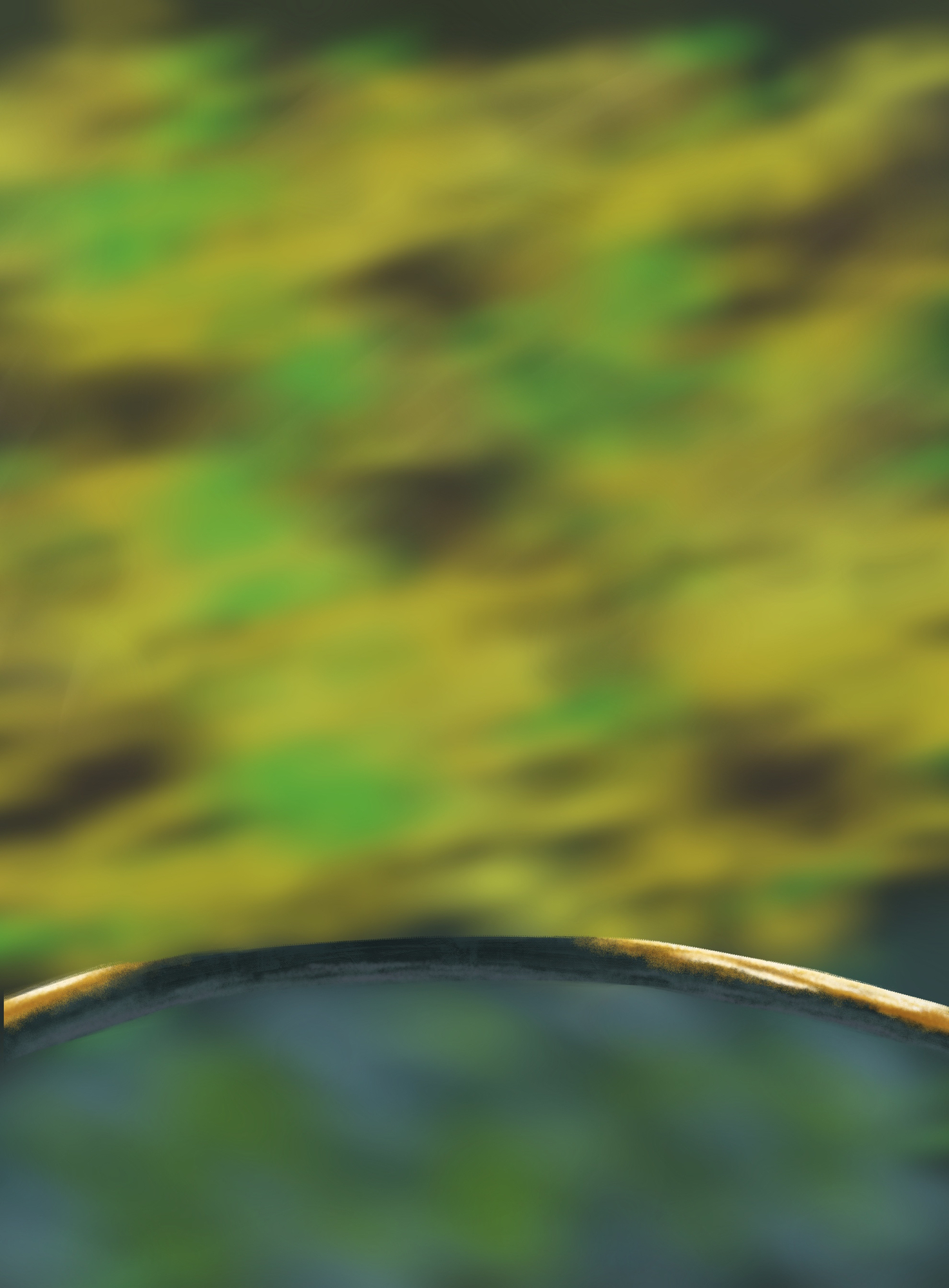 DPS Prog-1-1-Exercice5-Oiseau-Etape1 v3.jpg