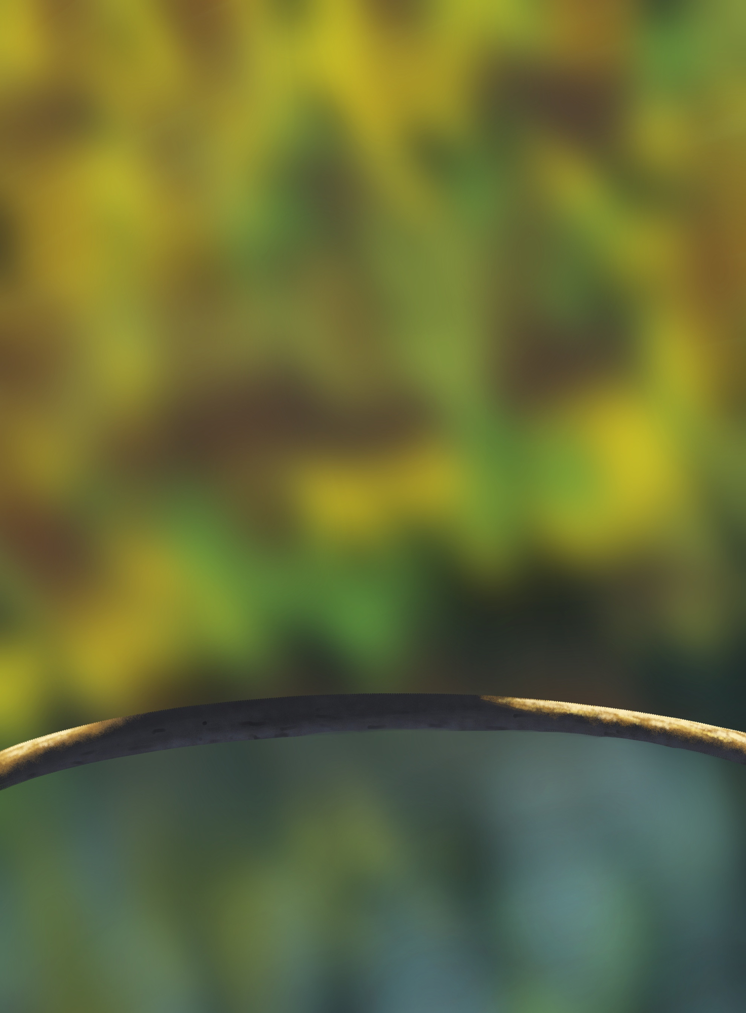 DPS Prog-1-1-Exercice5-Oiseau-Etape1 v5.jpg