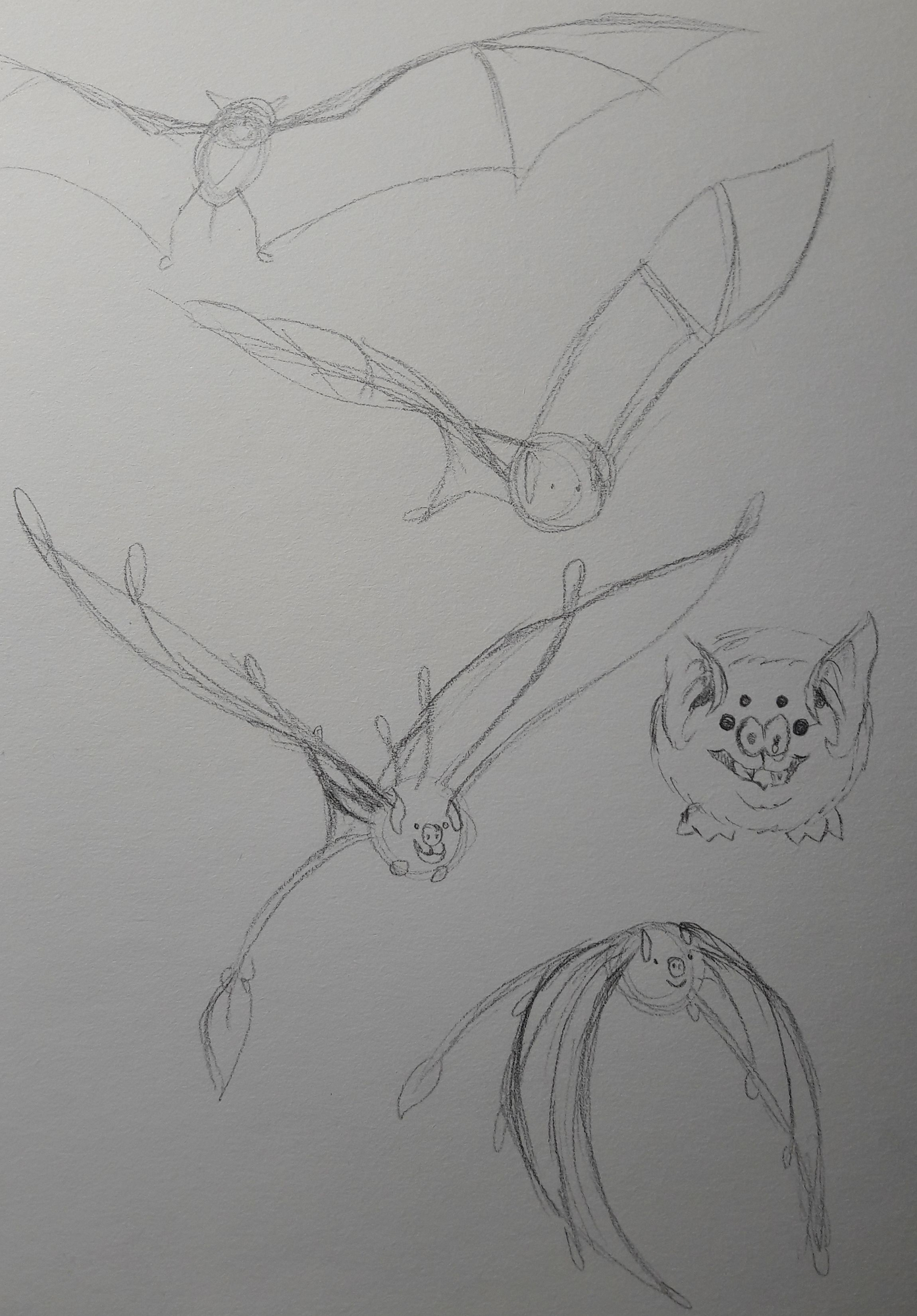 Défi Mars 2025_01.jpg