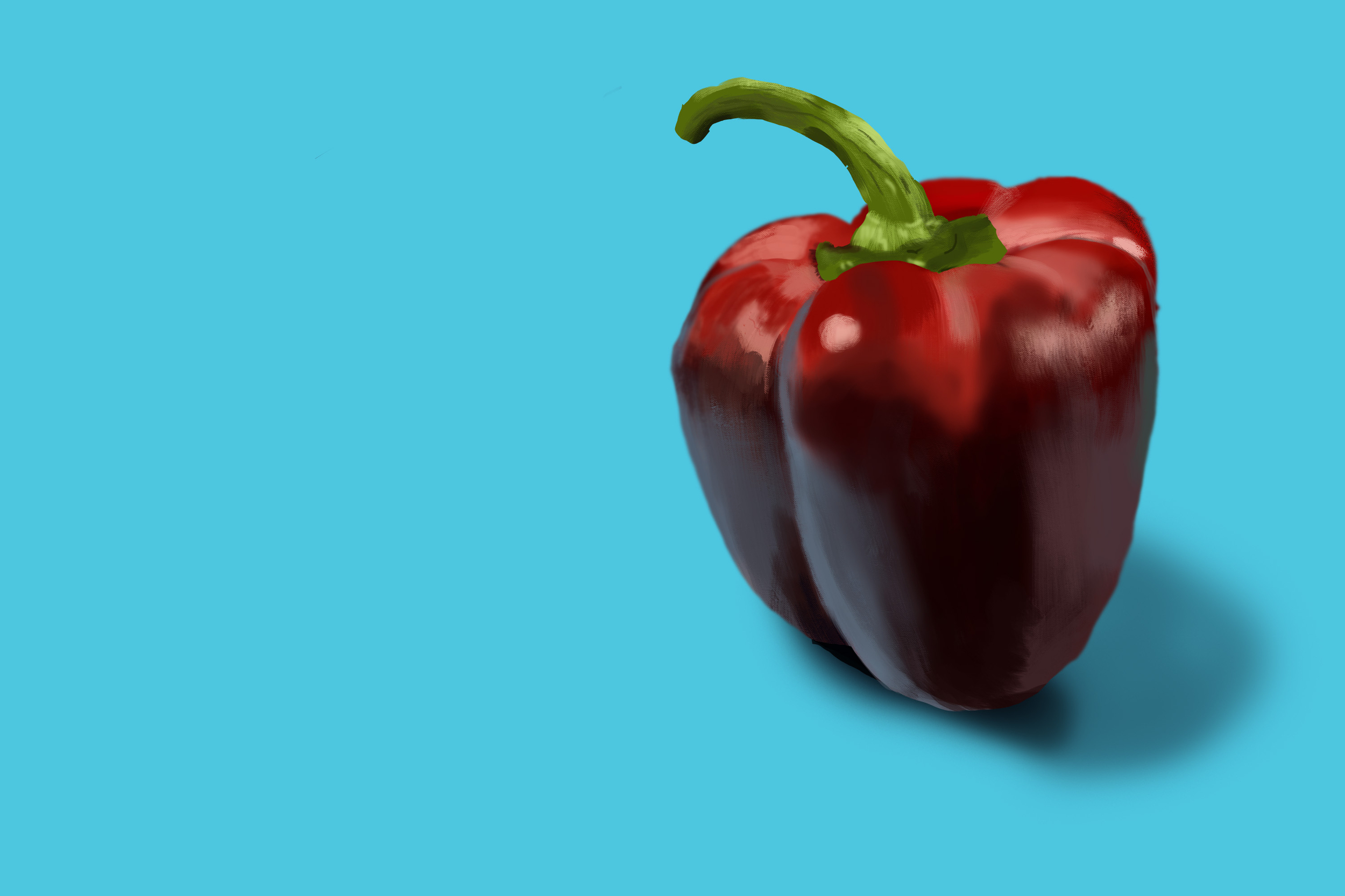 Exercice4-etude-photo1 4e essai.jpg