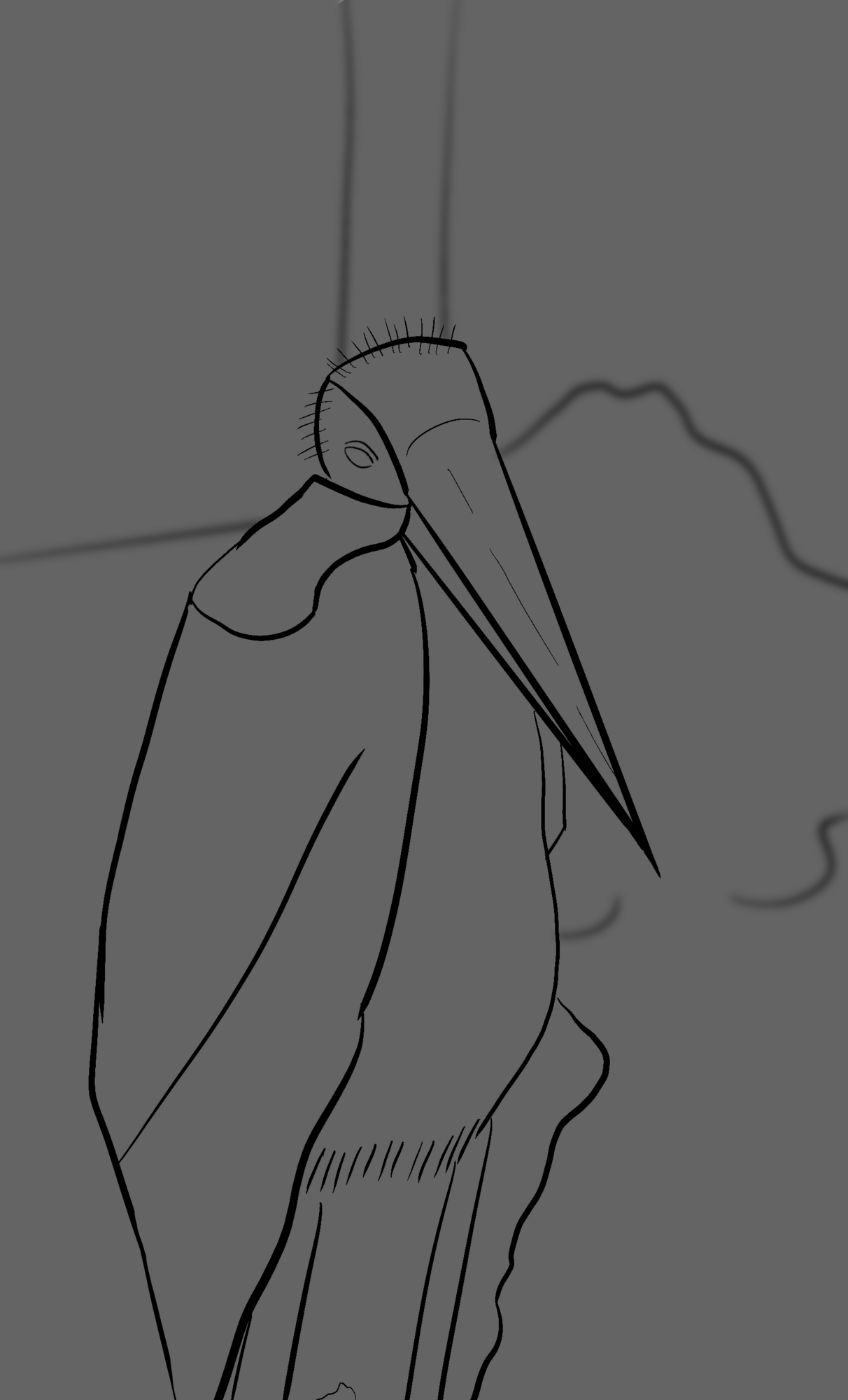 Illustration_sans_titre 4.png