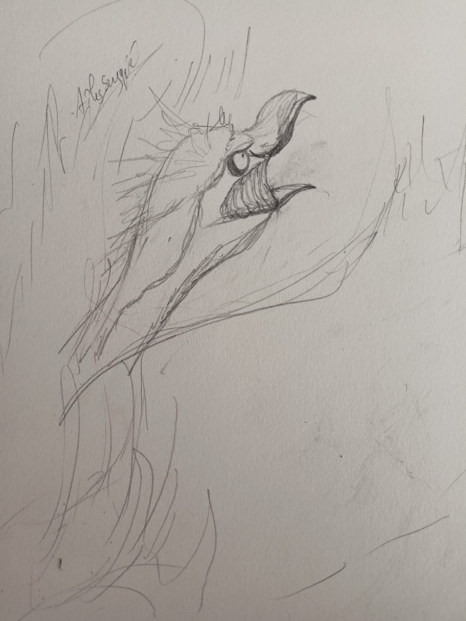 WhatsApp Image 2025-04-25 à 13.54.50_d94ebb8d.jpg