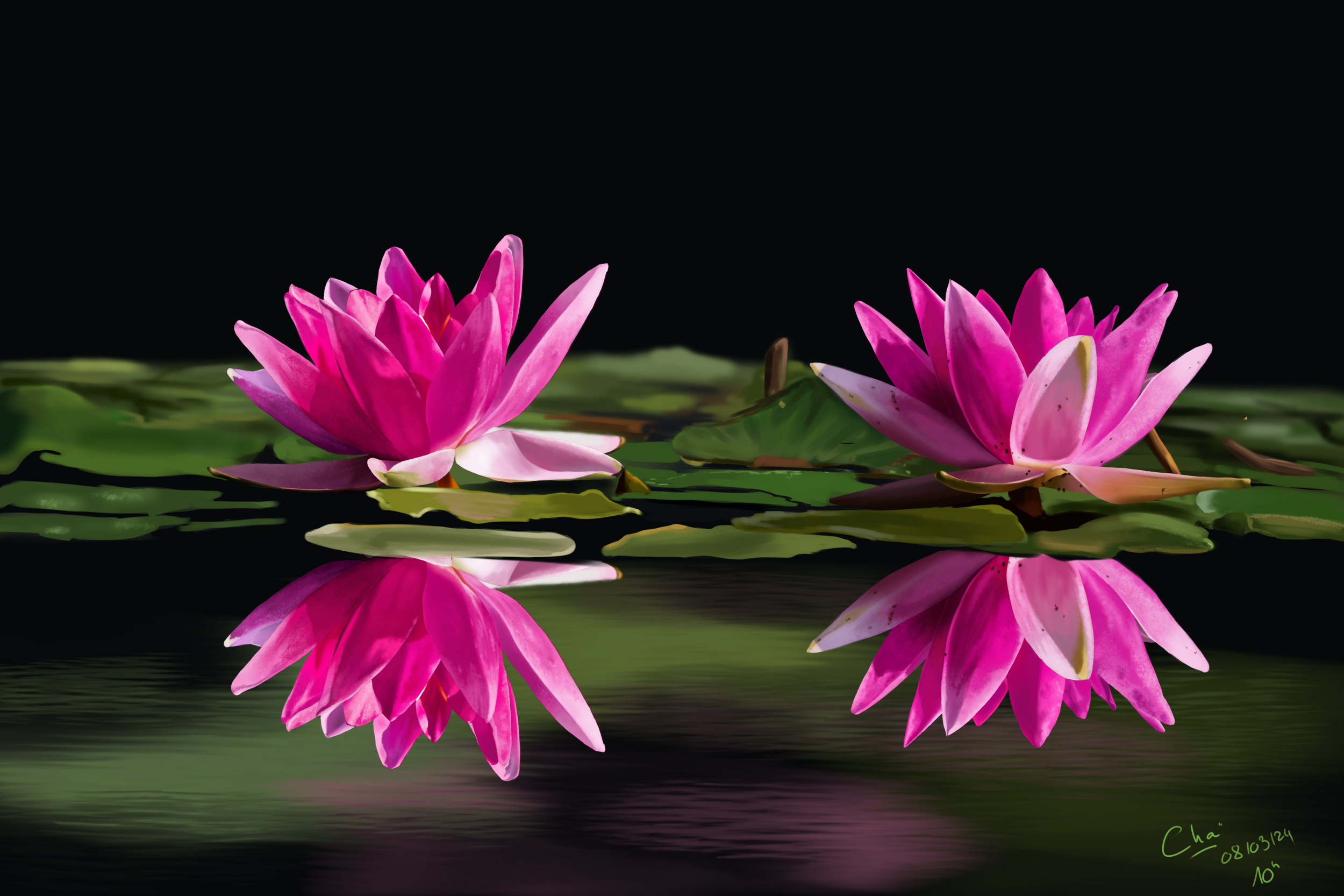 chap 1photo_exercice_lasso3-fini.png