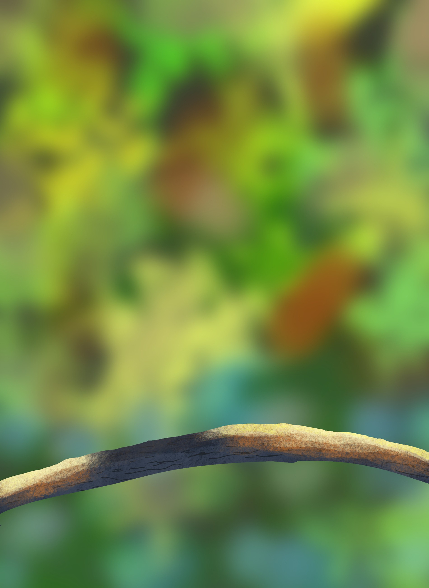 oisillons etape 1.jpg