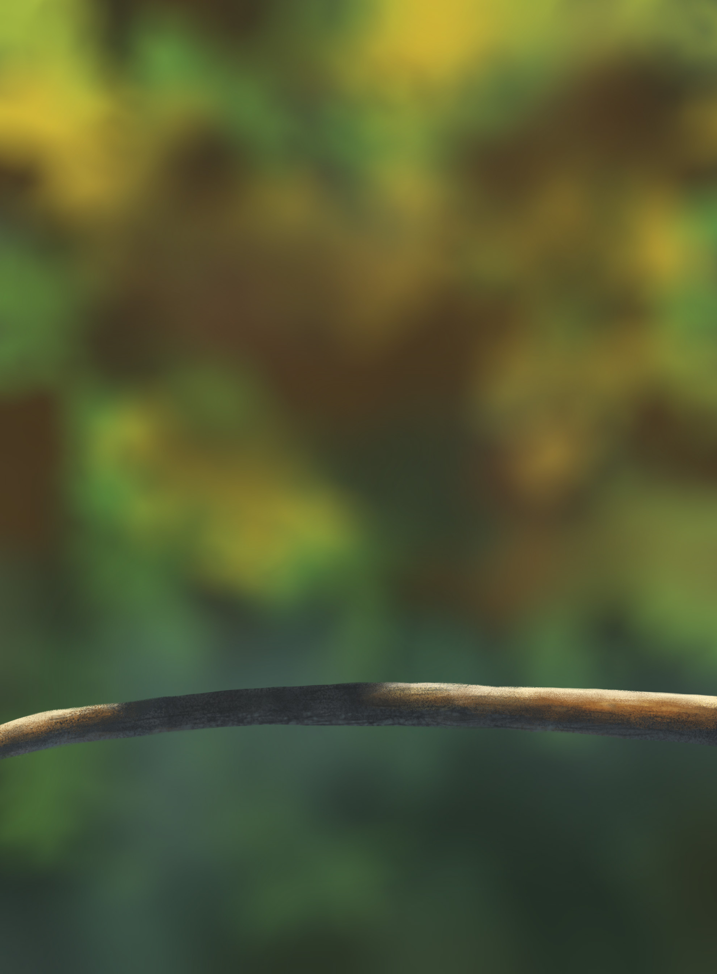 oisillons partie 1 AC1.jpg