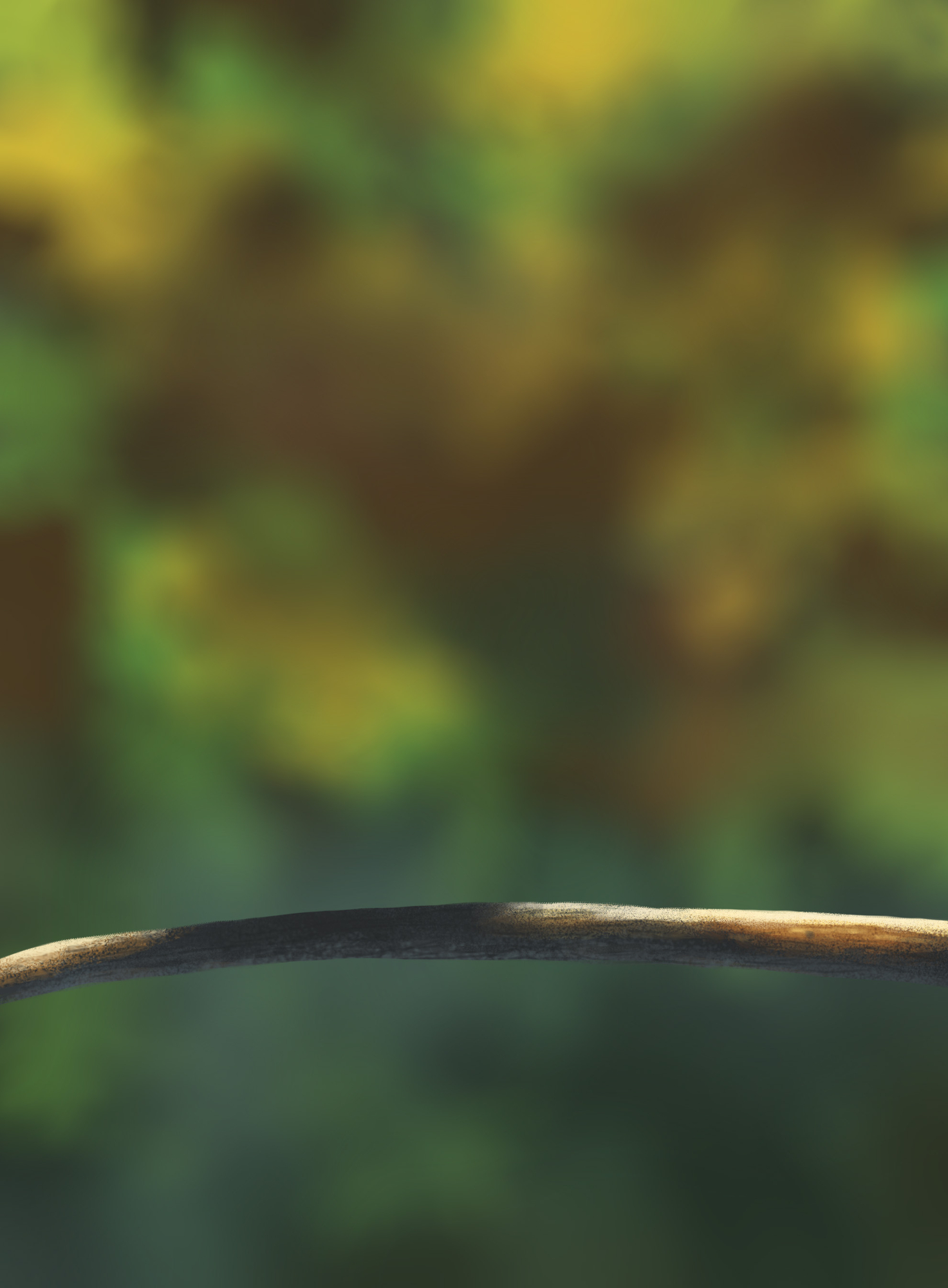 oisillons partie 1 copie.jpg