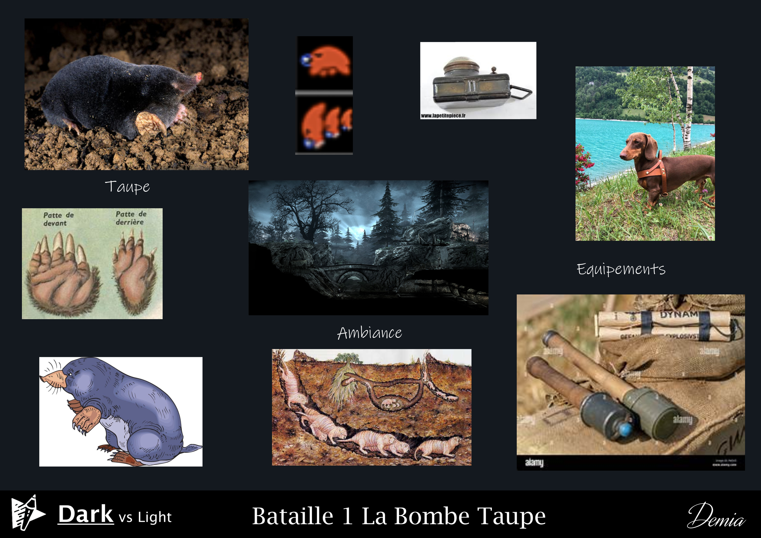 Bombe Taupe Demia Refs 1.jpg