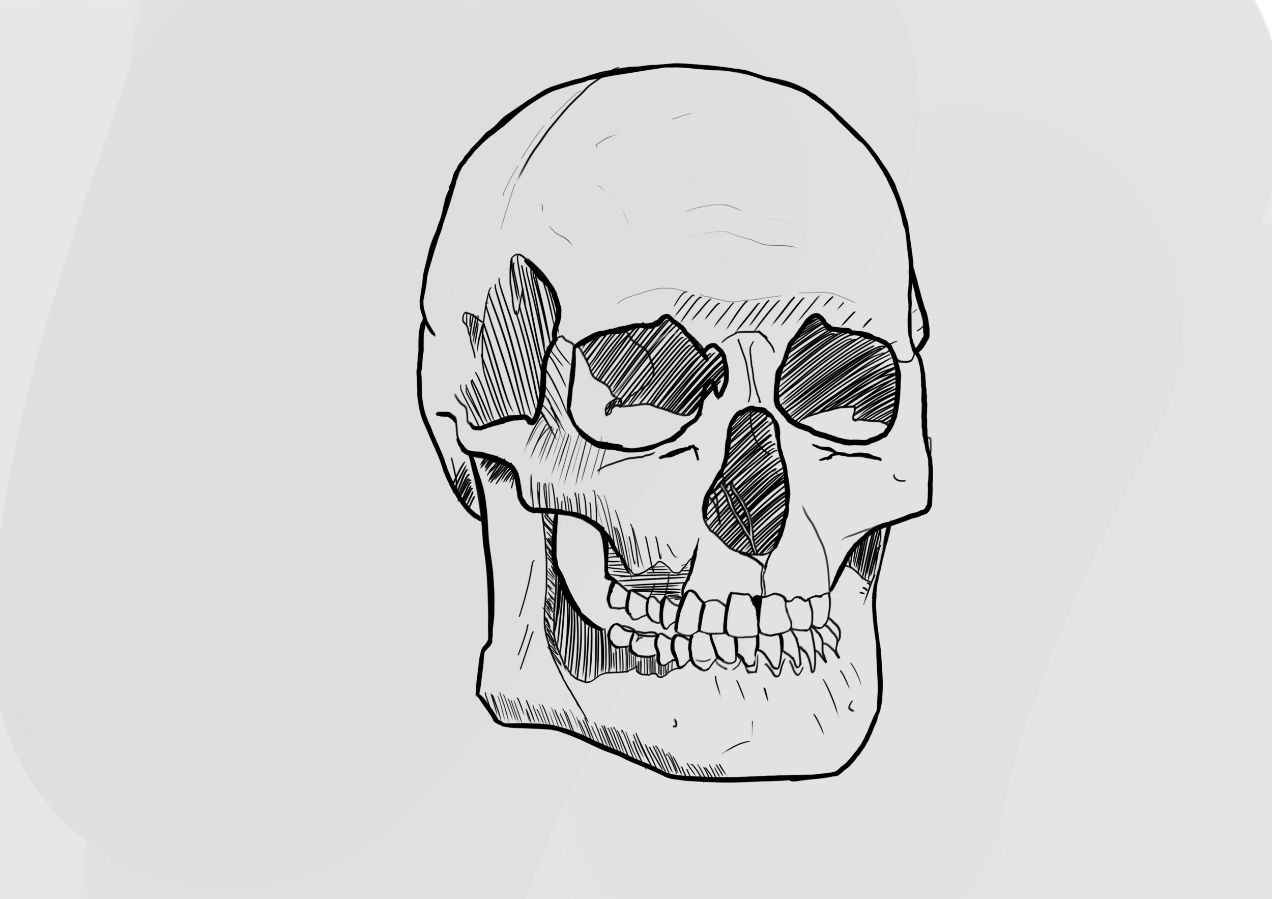 Crane illustration.png