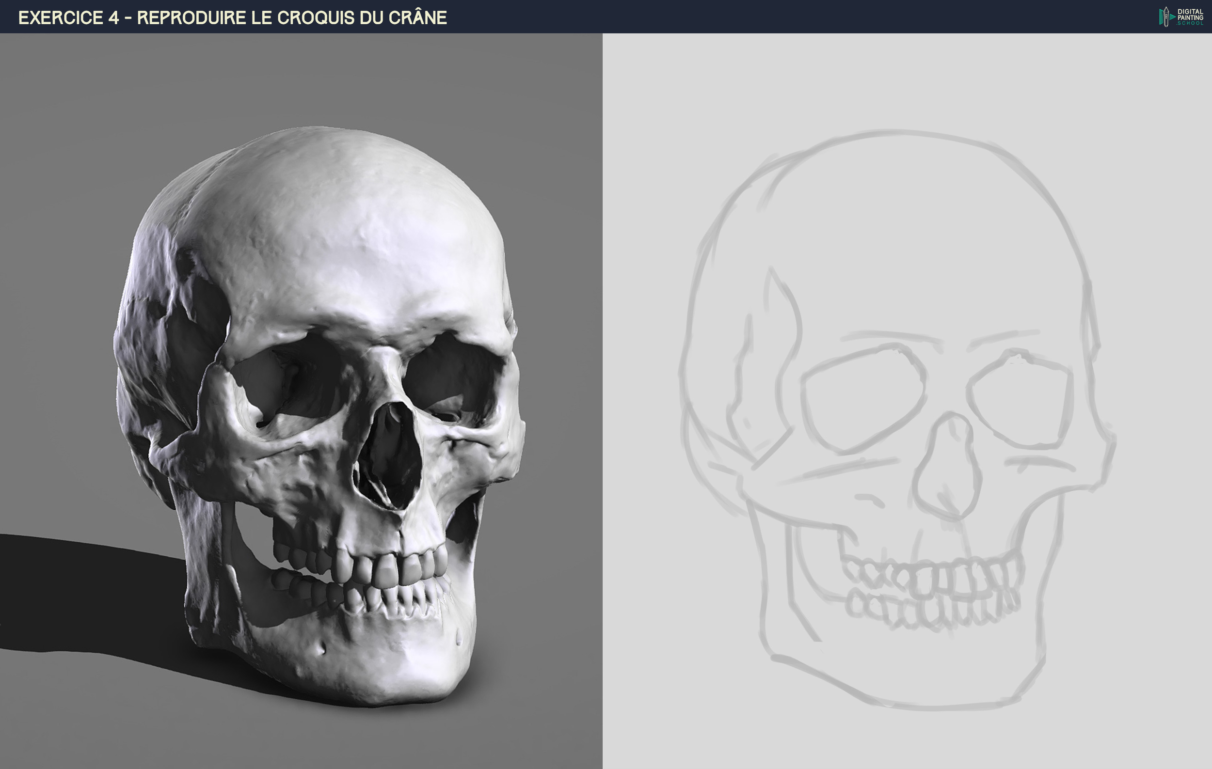 DPS-Prog-1-2-2-démo-crane-croquis copie 2.jpg