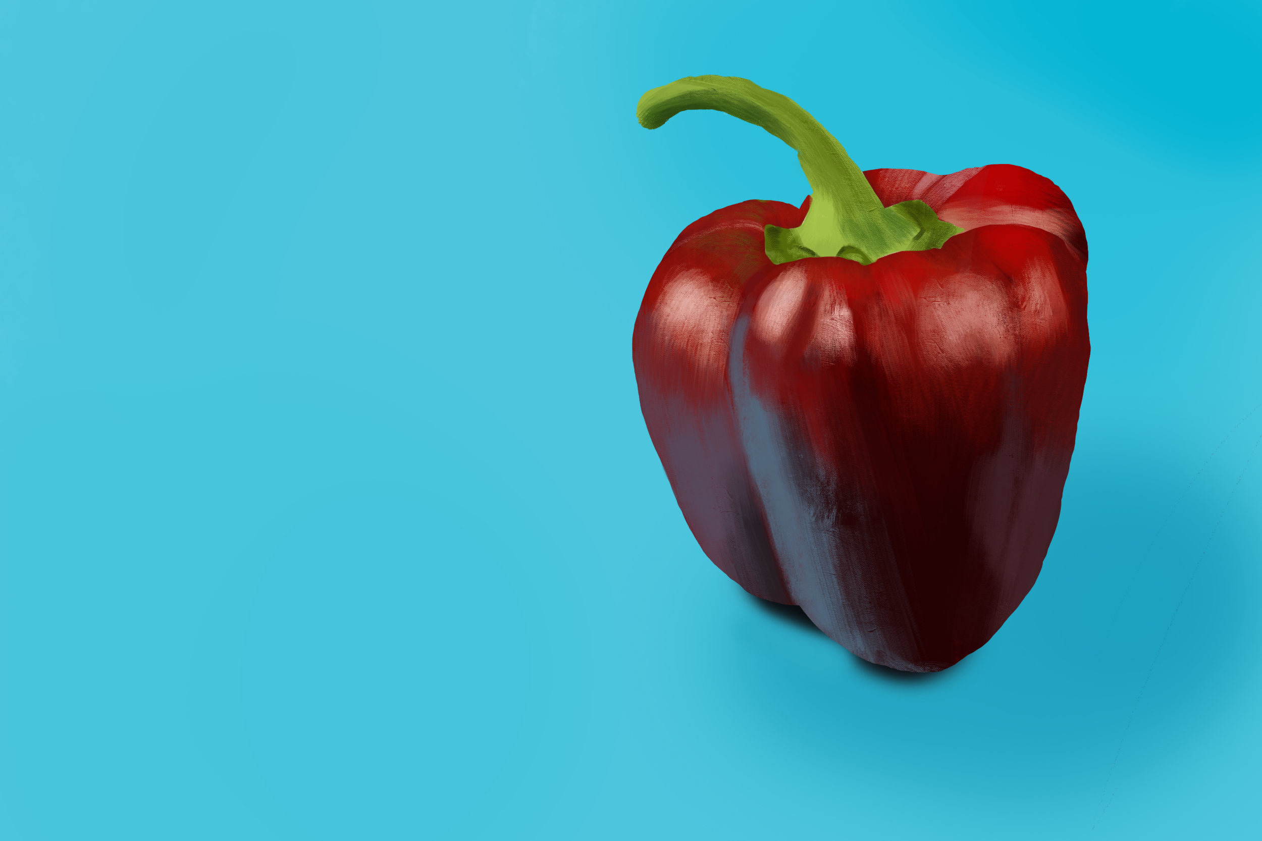 Exercice4-etude-photo1 illustration.png