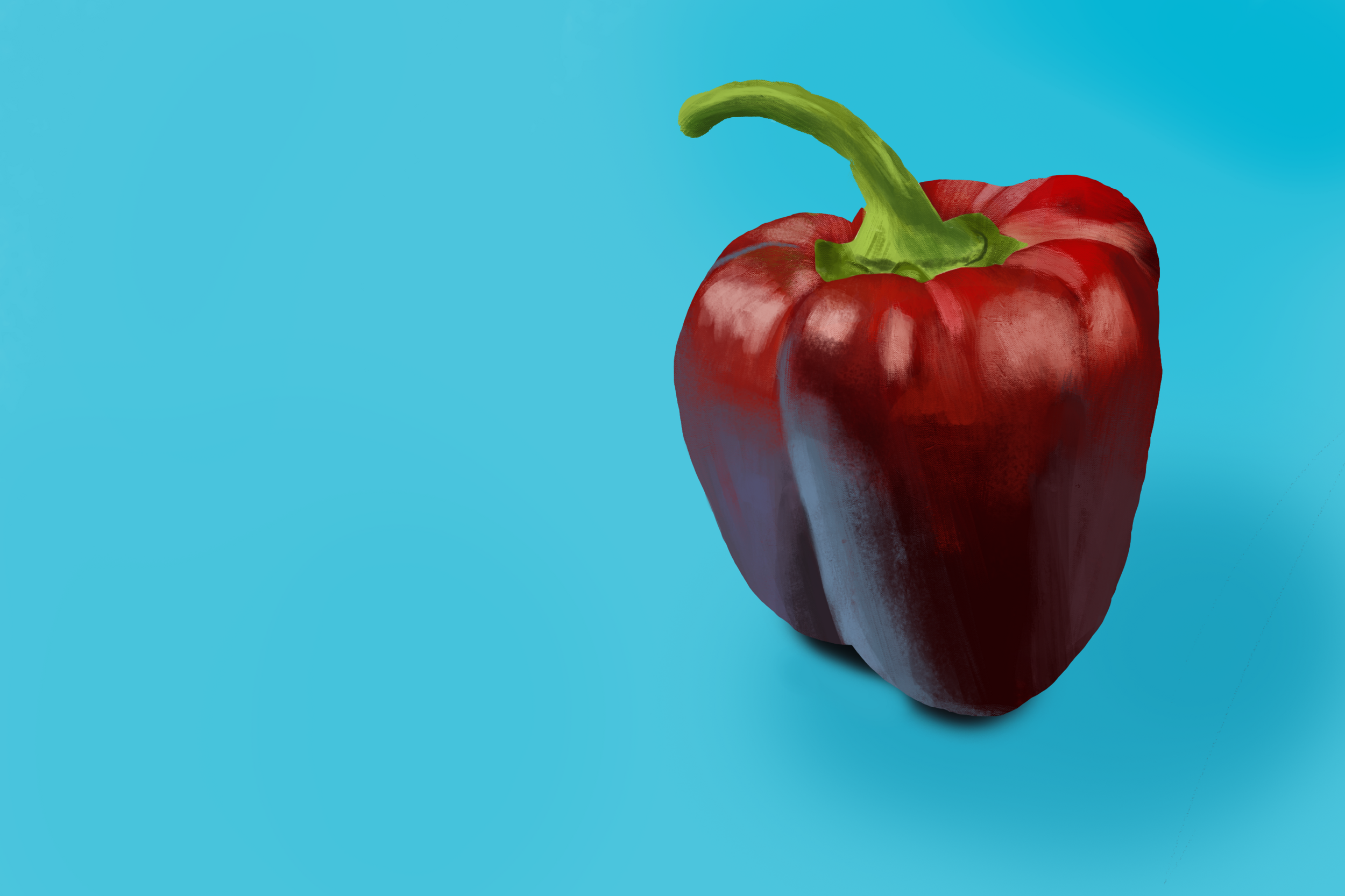 Exercice4-etude-photo1 illustration 2.png