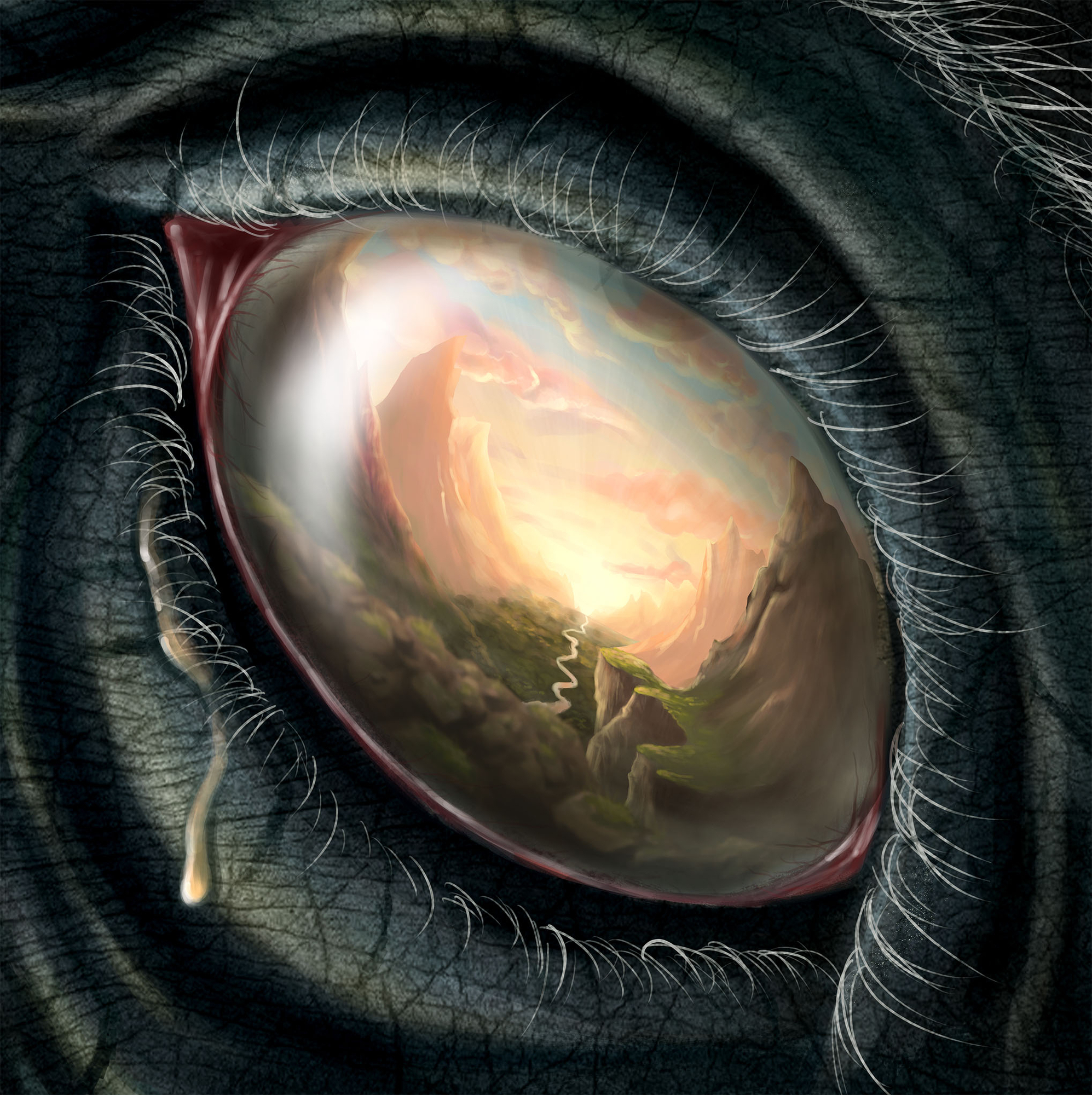 Format Final_larme_small.jpg