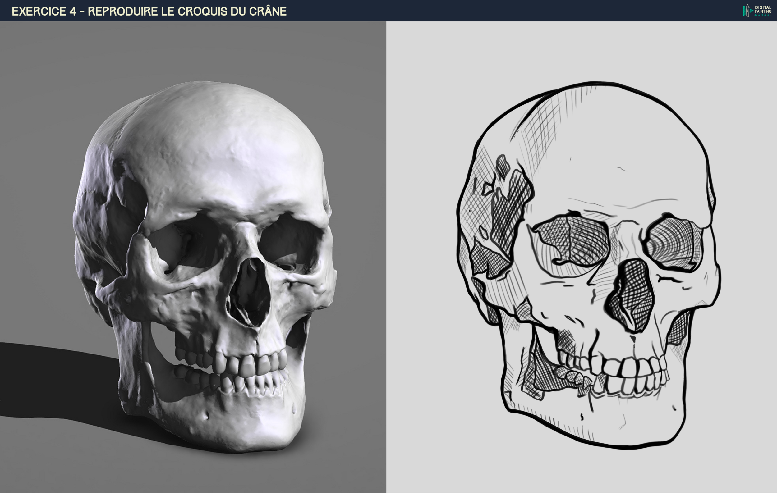 Mon crane - correction.png