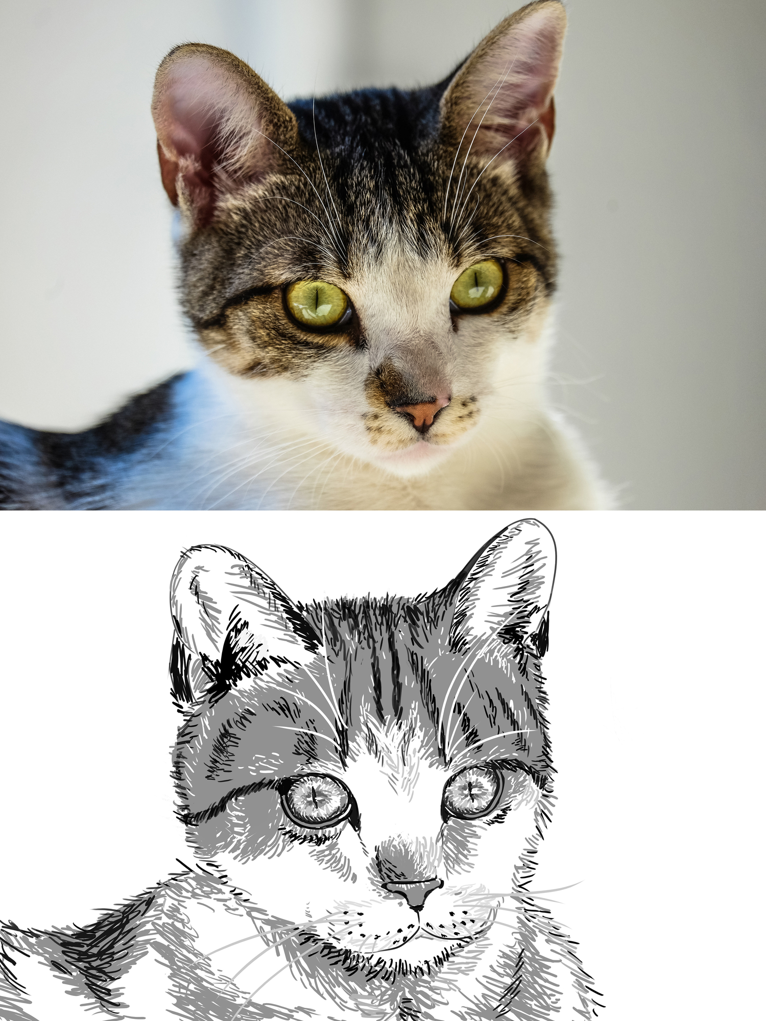 cat ahh drawing (bro think he's tuff).jpg