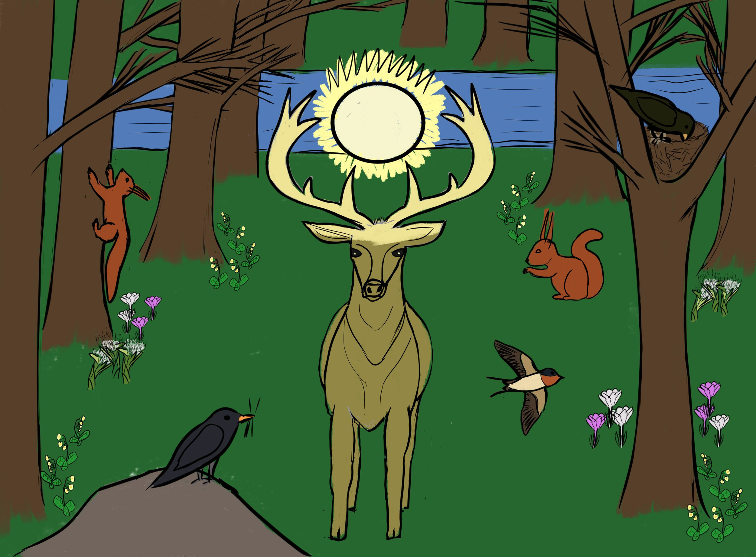 cerf 2 face croquis couleur.jpg