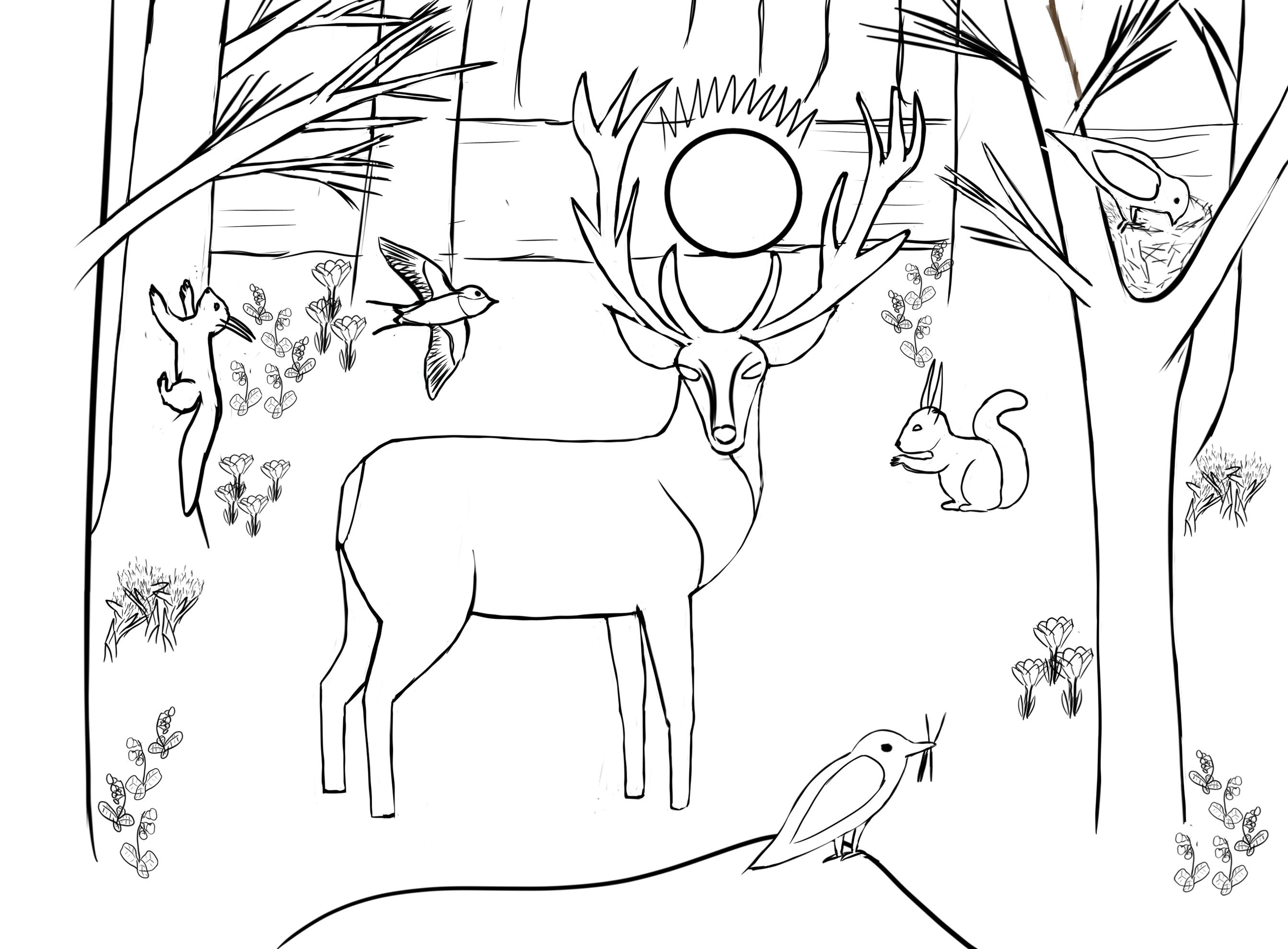 challenge light croquis cerf coté.jpg