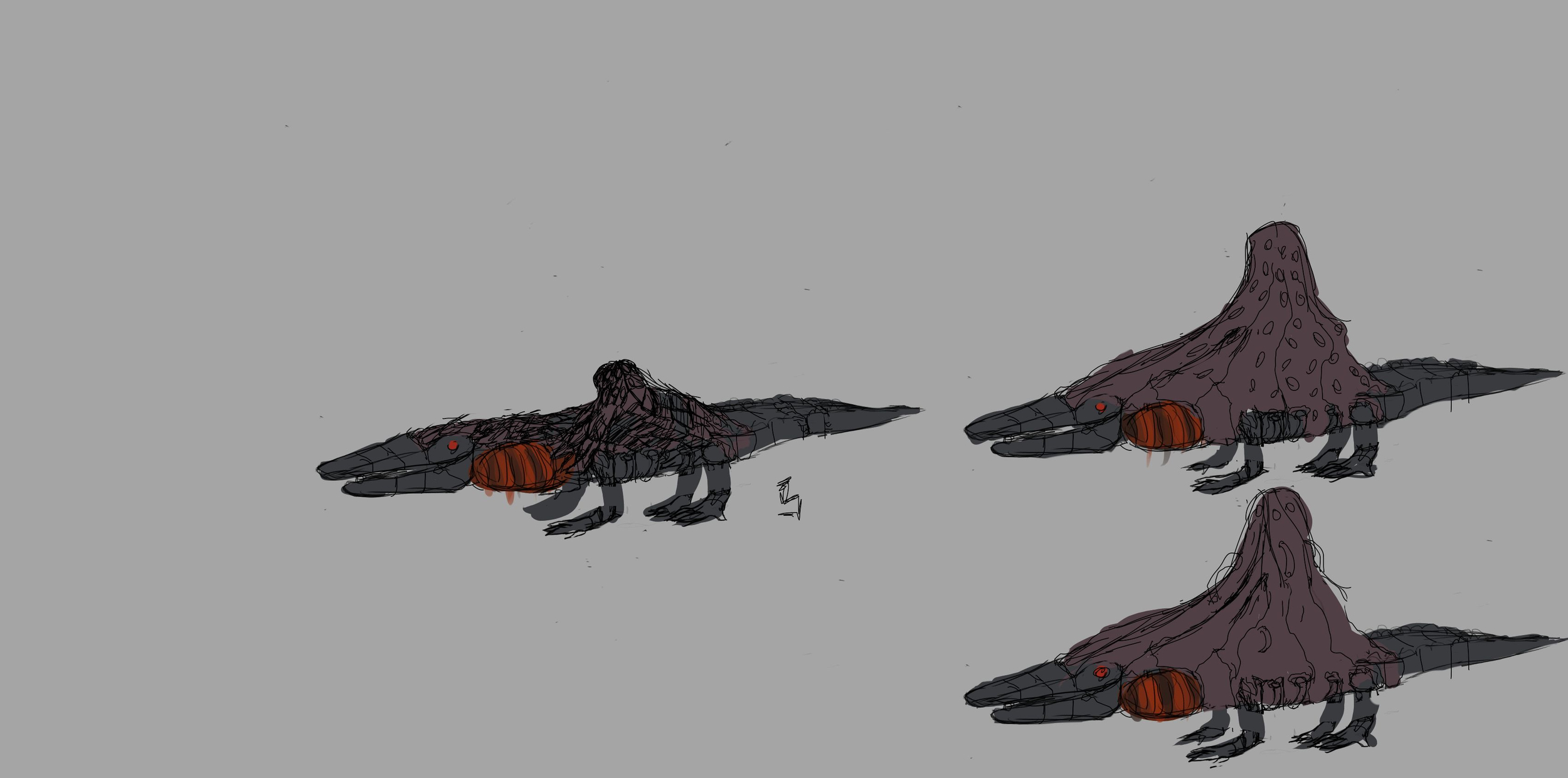 crocodile colo réfléxion 1.jpg