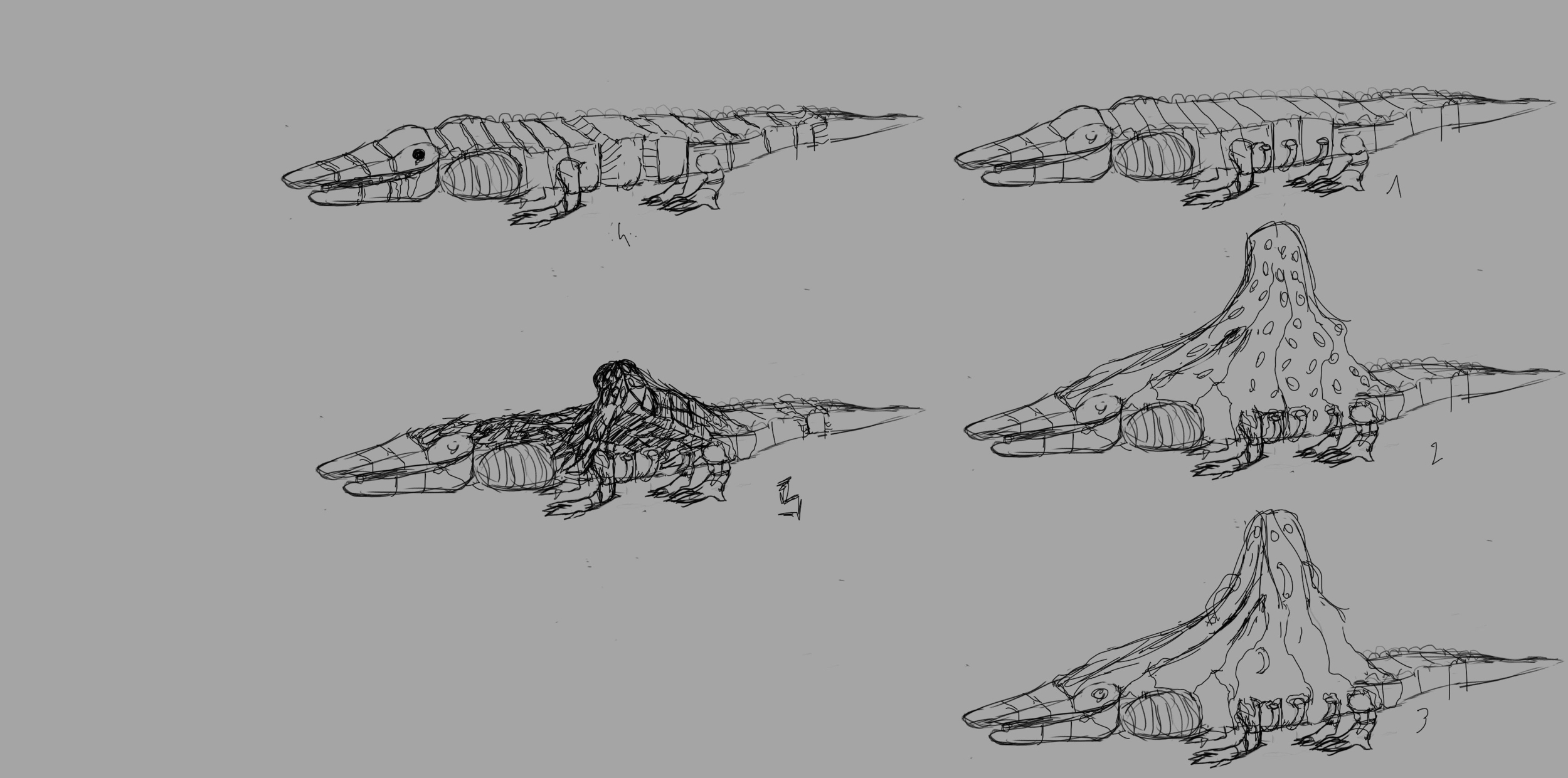 crocodile réflexion final.jpg
