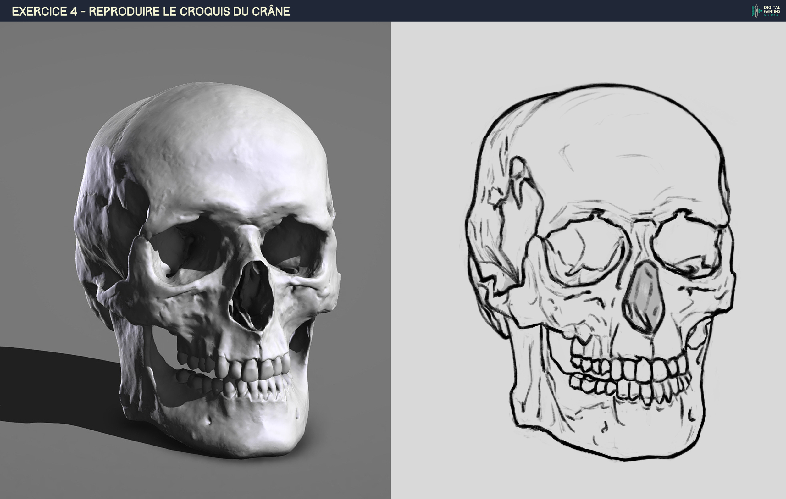 DPS-Prog-1-2-2-crâne_02h00_phase 2.jpg