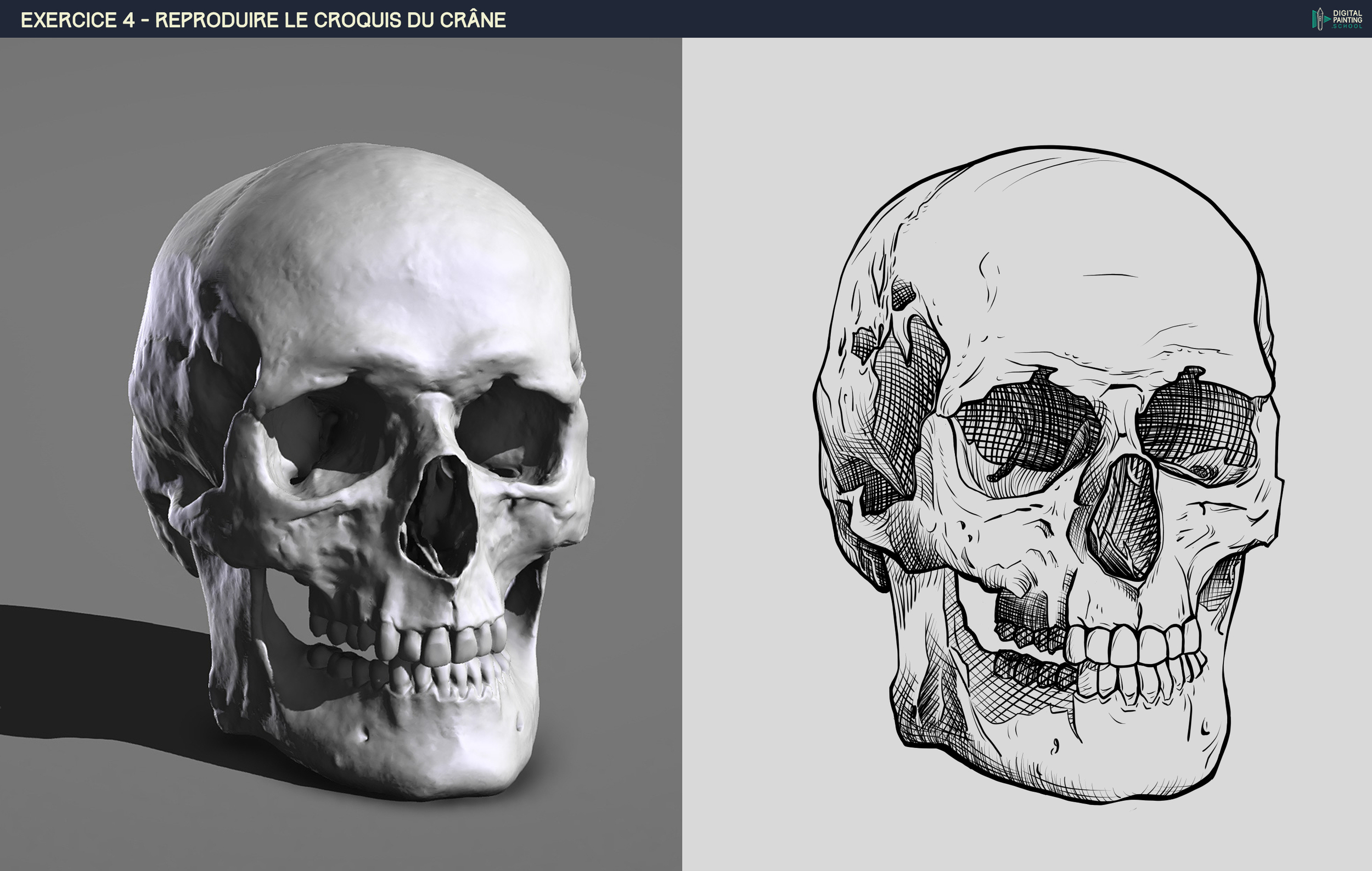 DPS-Prog-1-2-2-crâne_05h00_phase 3.jpg