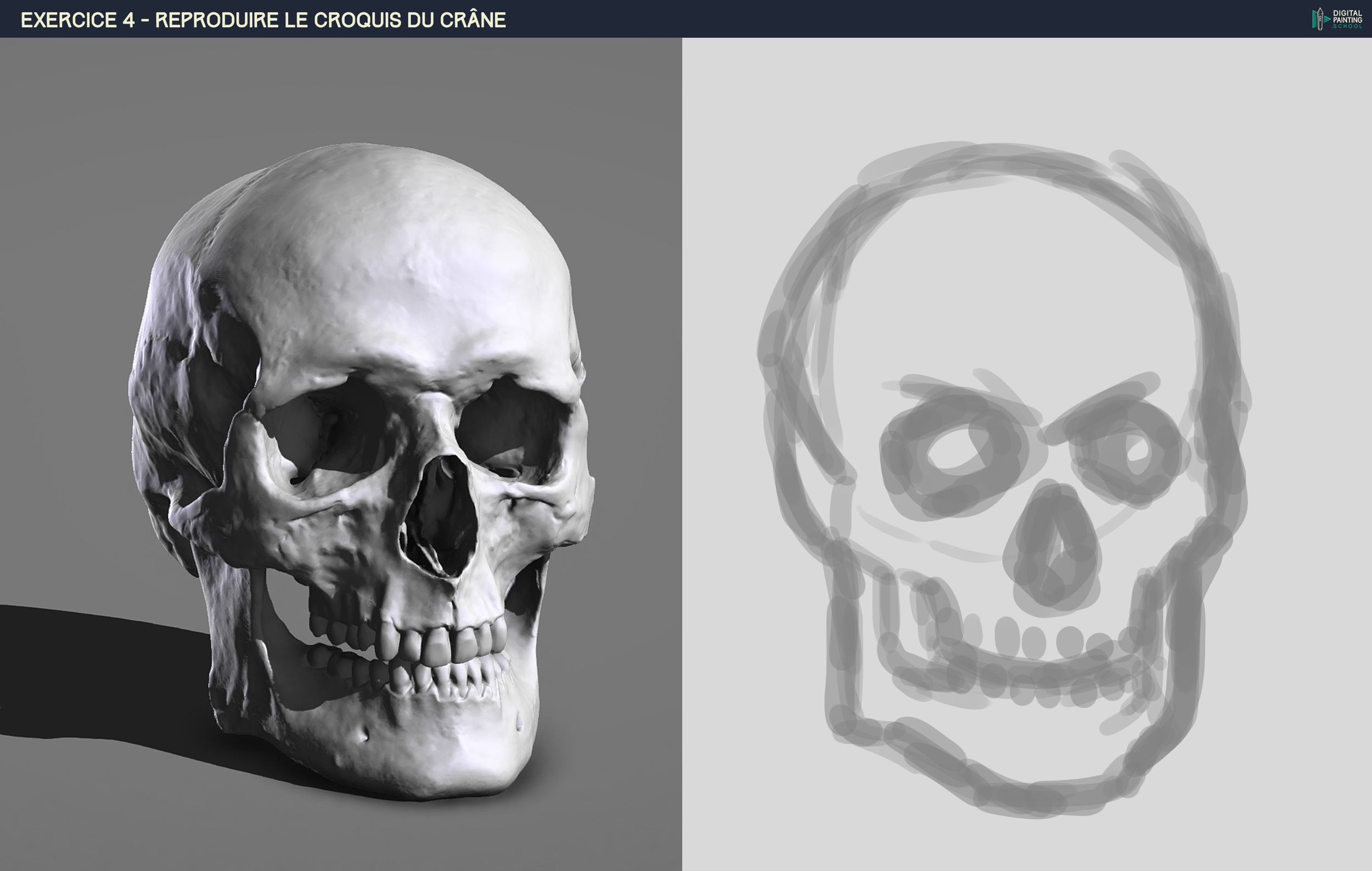 DPS-Prog-1-2-2-démo-crane-croquis bibi 3.jpg