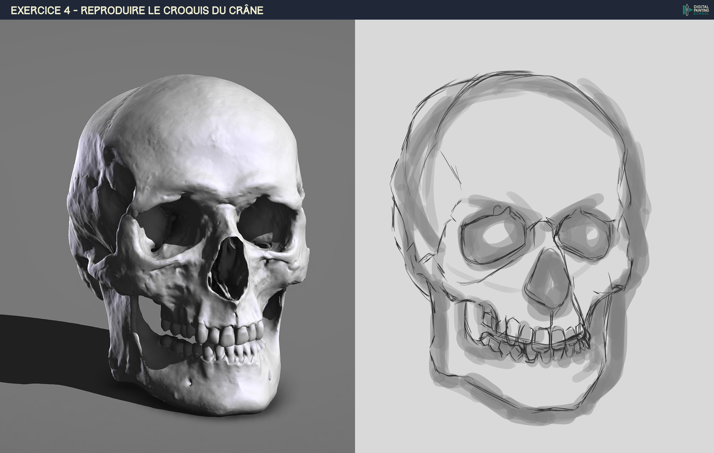 DPS-Prog-1-2-2-démo-crane-croquis bibi 4.jpg
