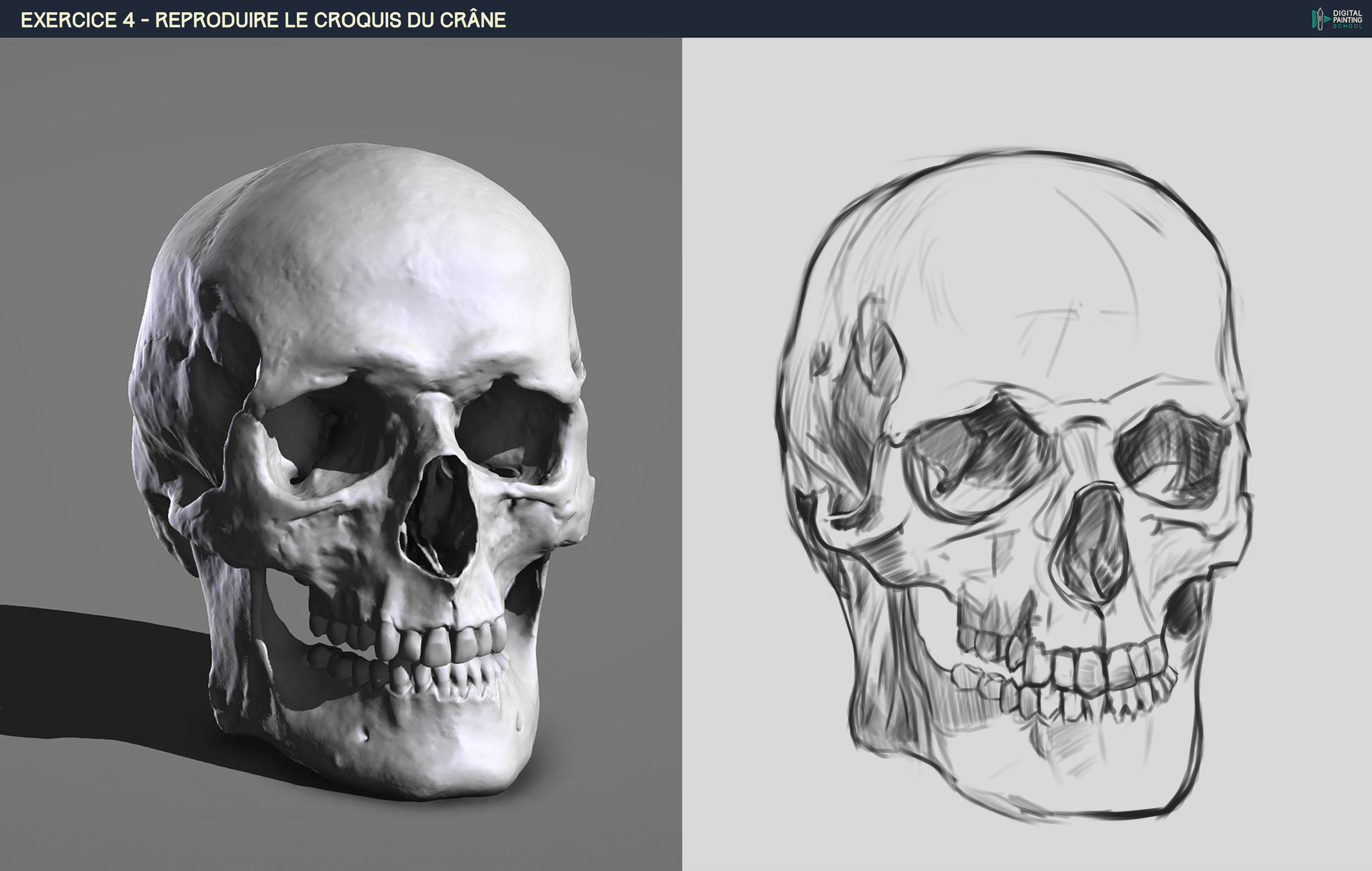 DPS-Prog-1-2-2-démo-crane-croquis sgrum.jpg