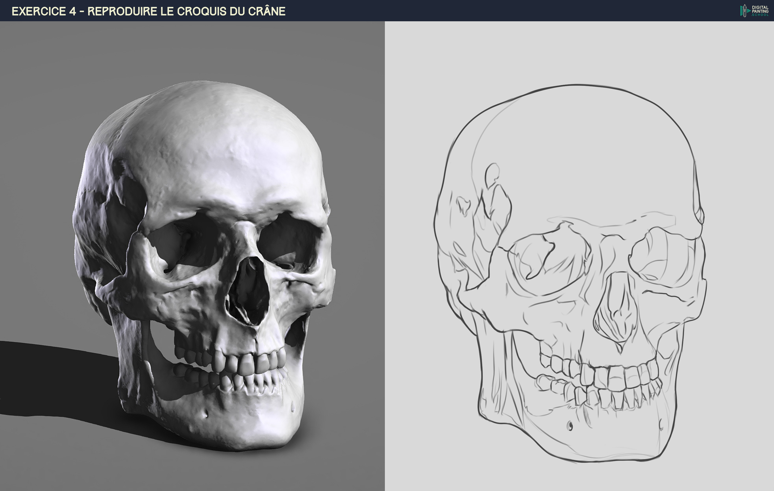 DPS-Prog-1-2-2-démo-crane-croquis sgrum2.jpg