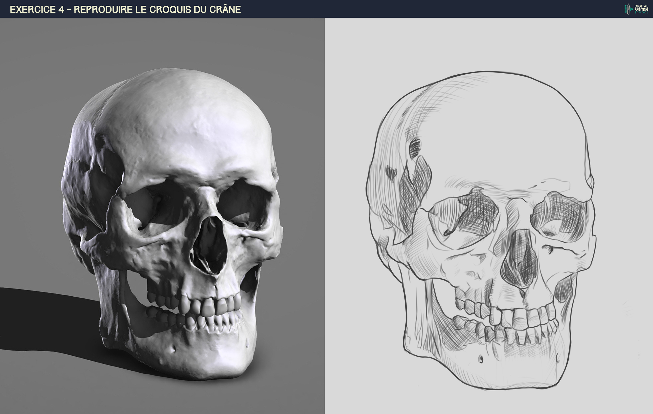 DPS-Prog-1-2-2-démo-crane-croquis sgrum3.jpg