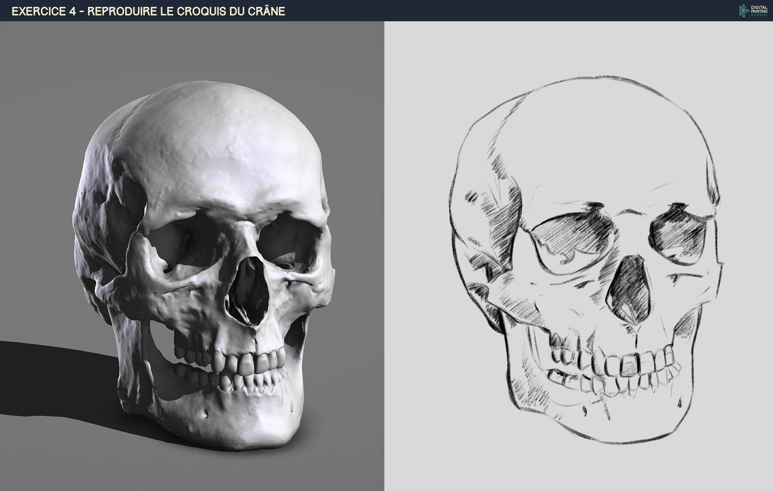 DPS-Prog-1-2-2-démo-crane-croquis v2.jpg
