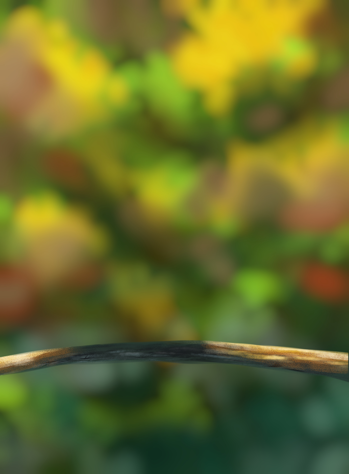 DPS Prog-1-1-Exercice5-Oiseau-Commencement.jpg