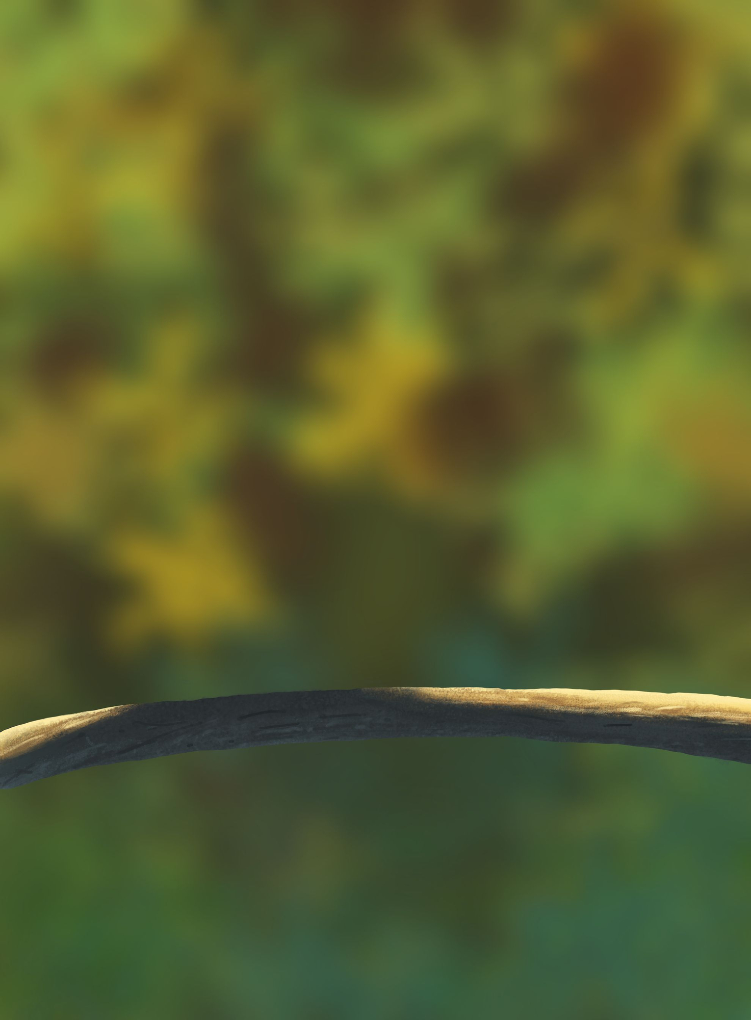 DPS Prog-1-1-Exercice5-Oiseau-Commencement.jpg