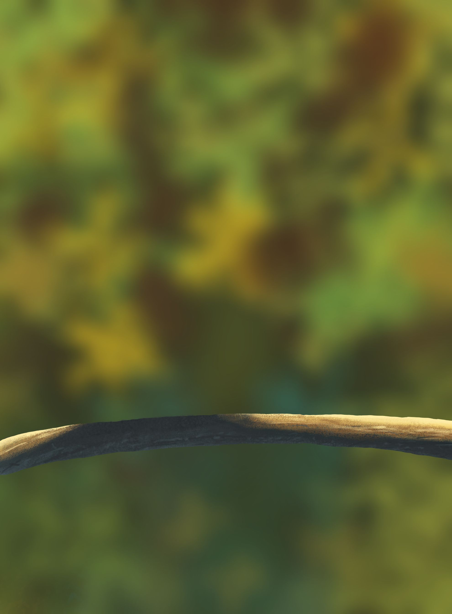 DPS Prog-1-1-Exercice5-Oiseau-Commencement.jpg