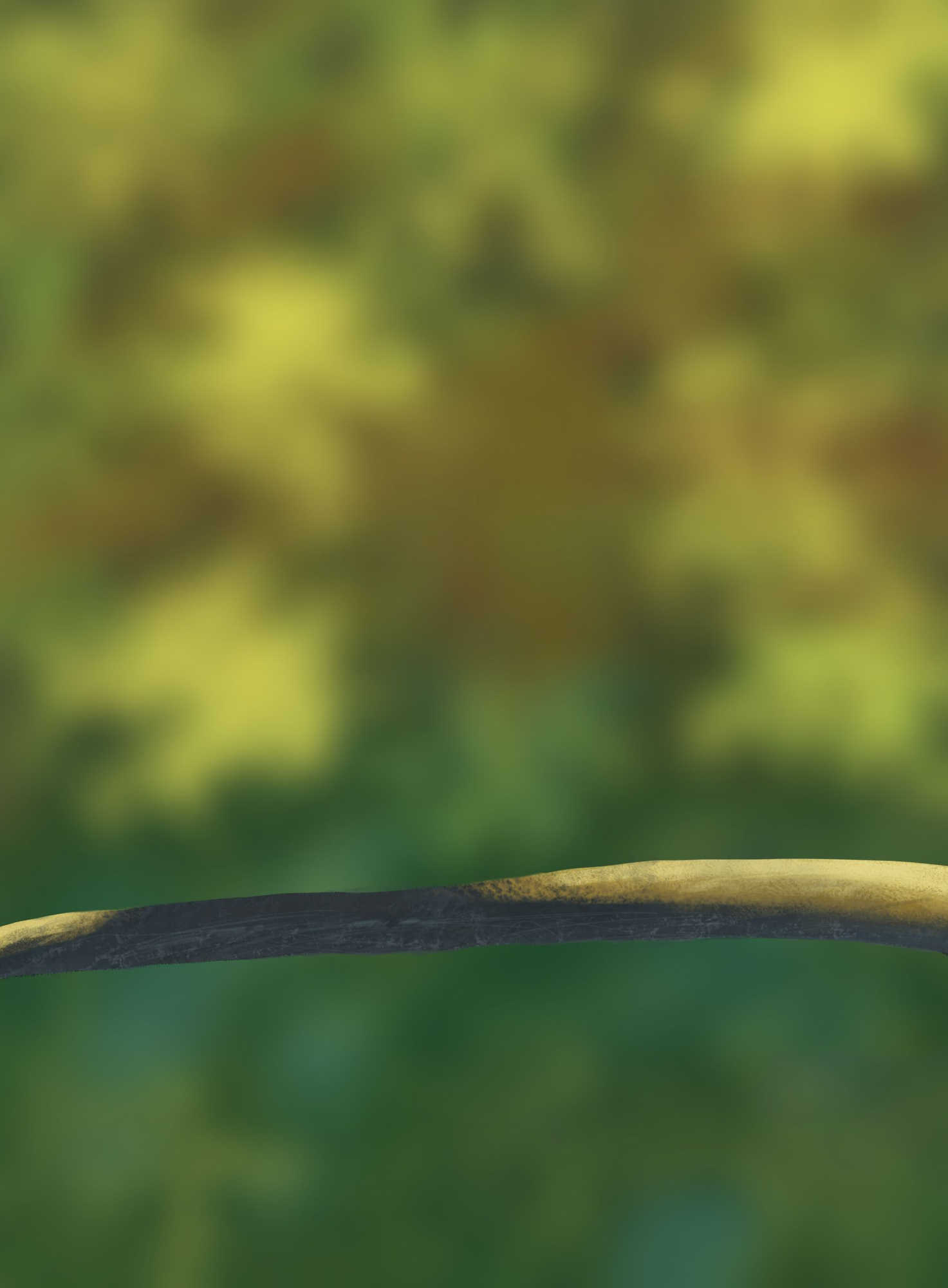 DPS Prog-1-1-Exercice5-Oiseau-Commencement.jpg