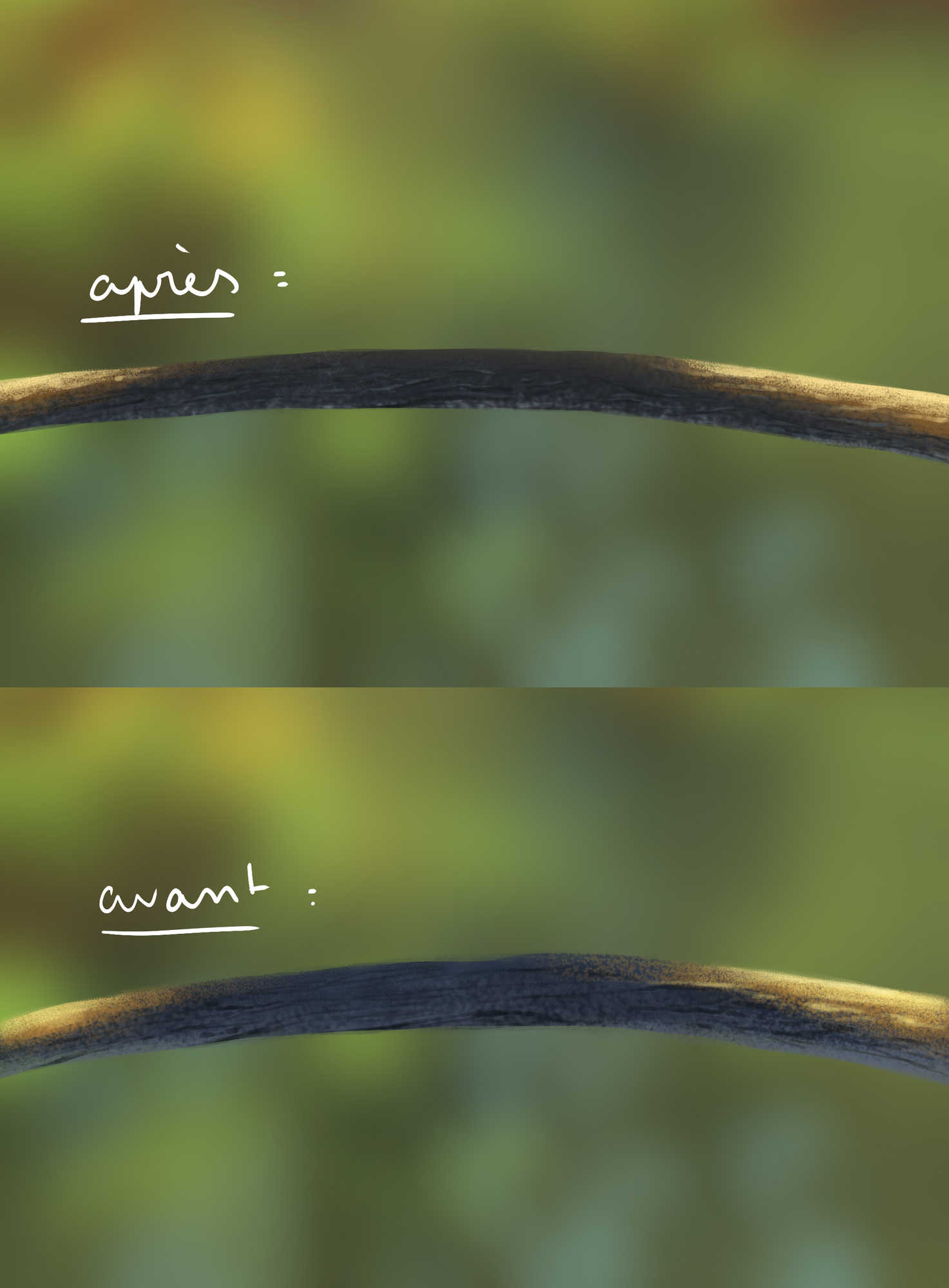 DPS Prog-1-1-Exercice5-Oiseau-Etape1-correction 1.jpg